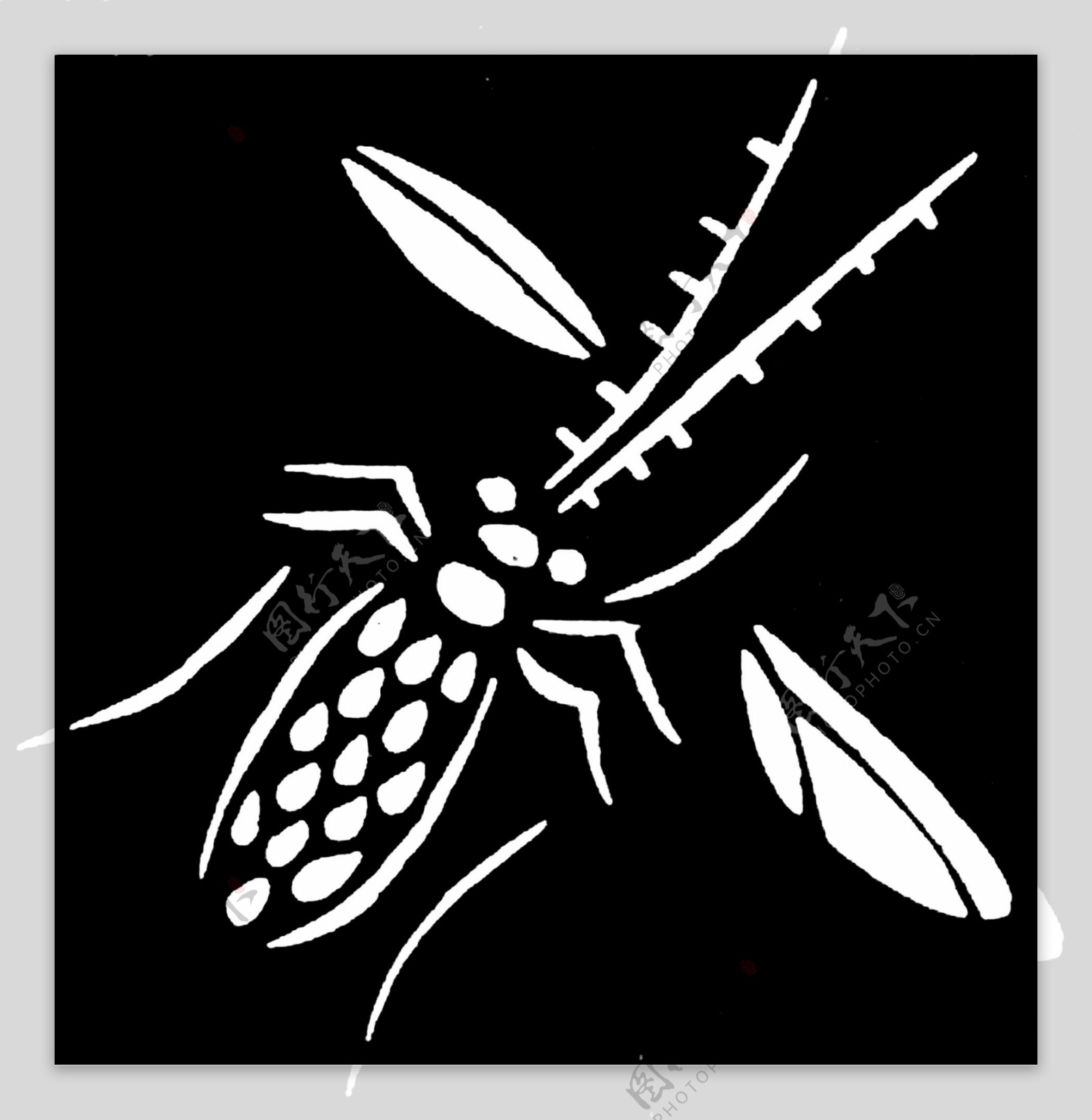 昆虫纹样传统图案0061