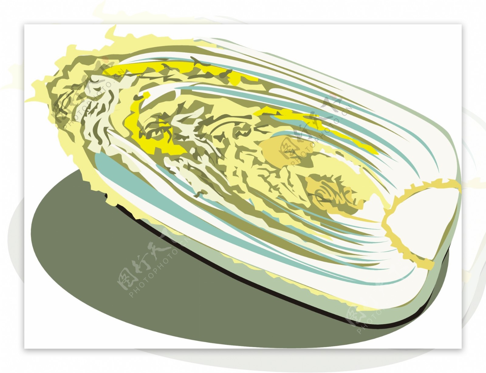 卡通矢量白菜蔬菜素材