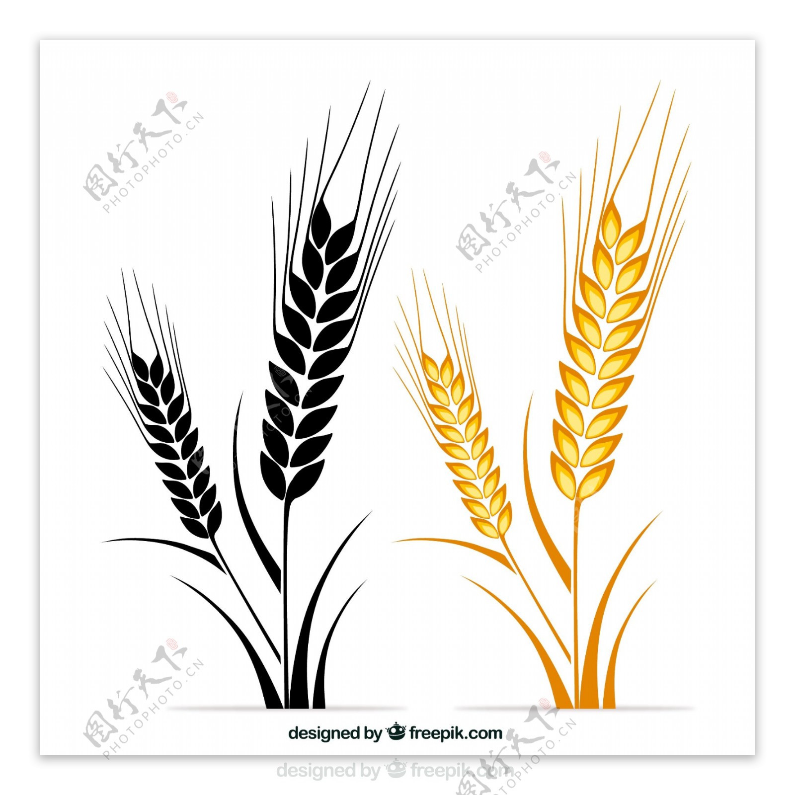 黑色和黄色的麦穗设计矢量图图片