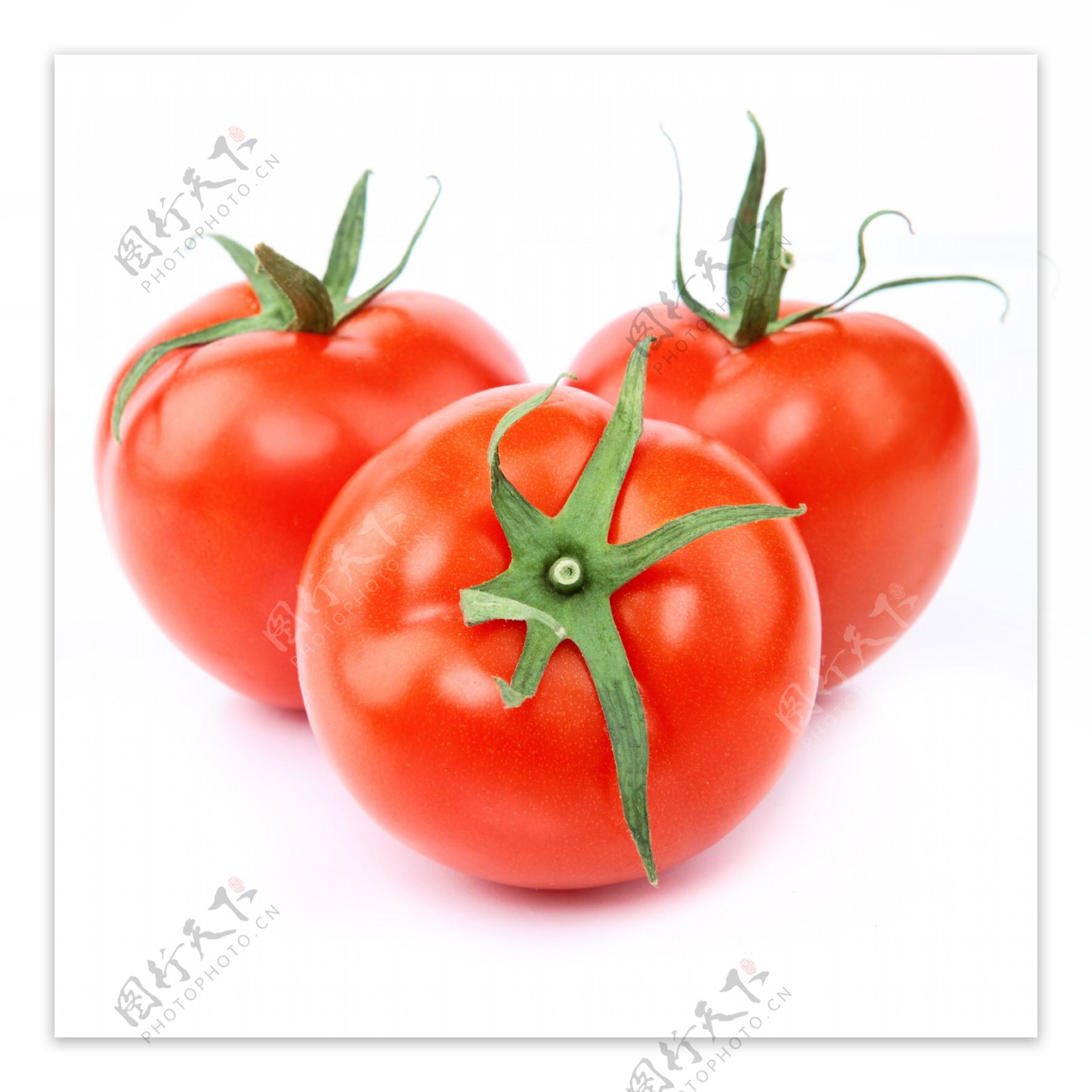 番茄摄影