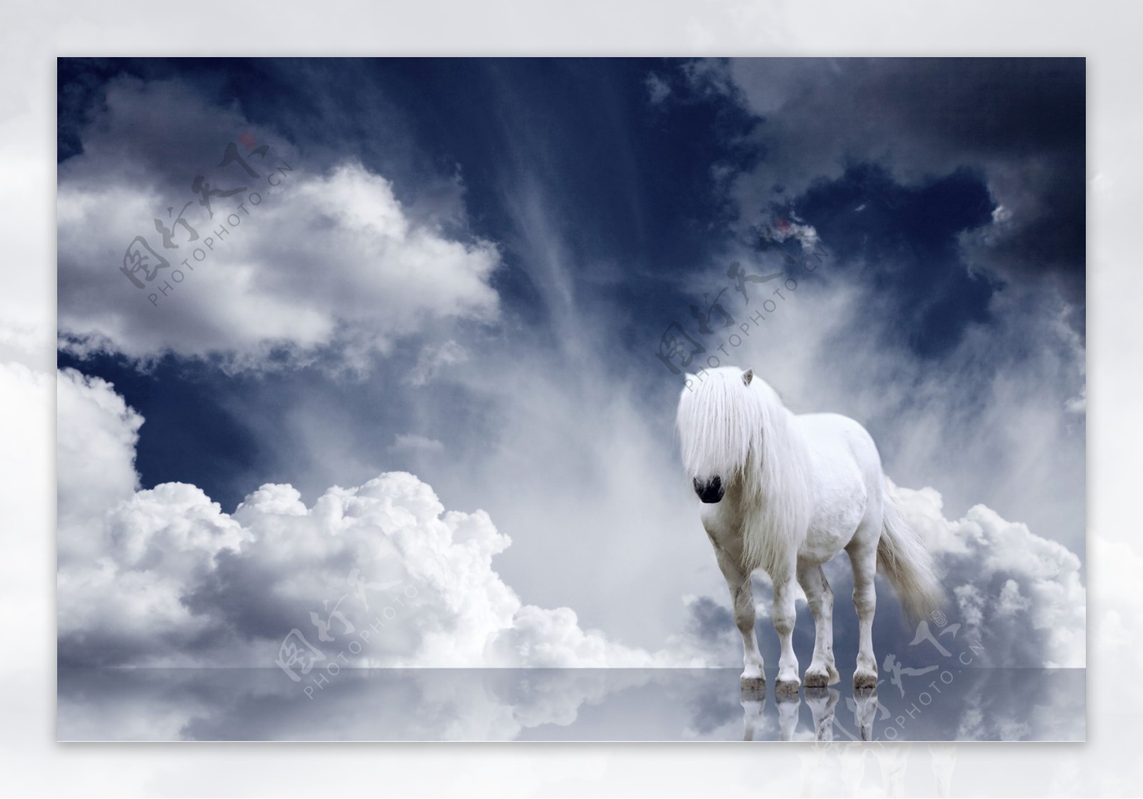 蓝天白云与白马