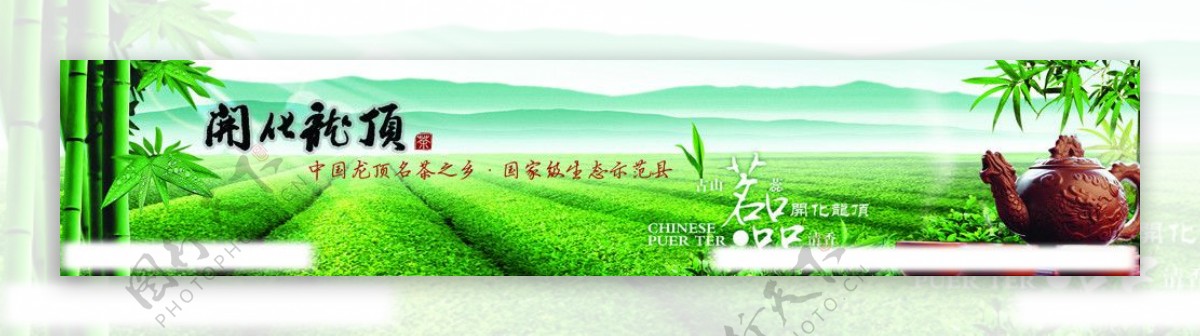 开化龙顶茶