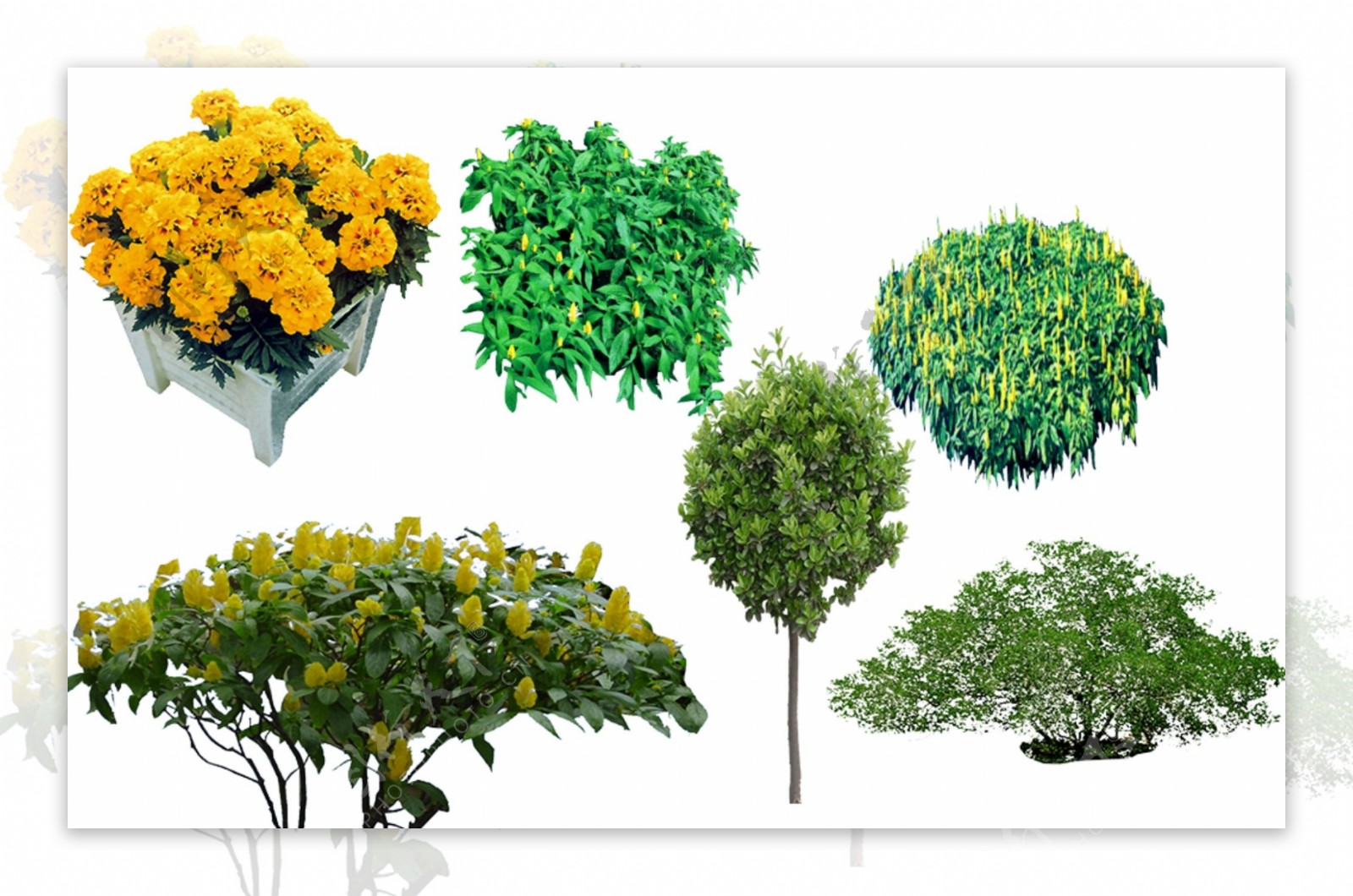 树木绿色植物花朵园林景观素材