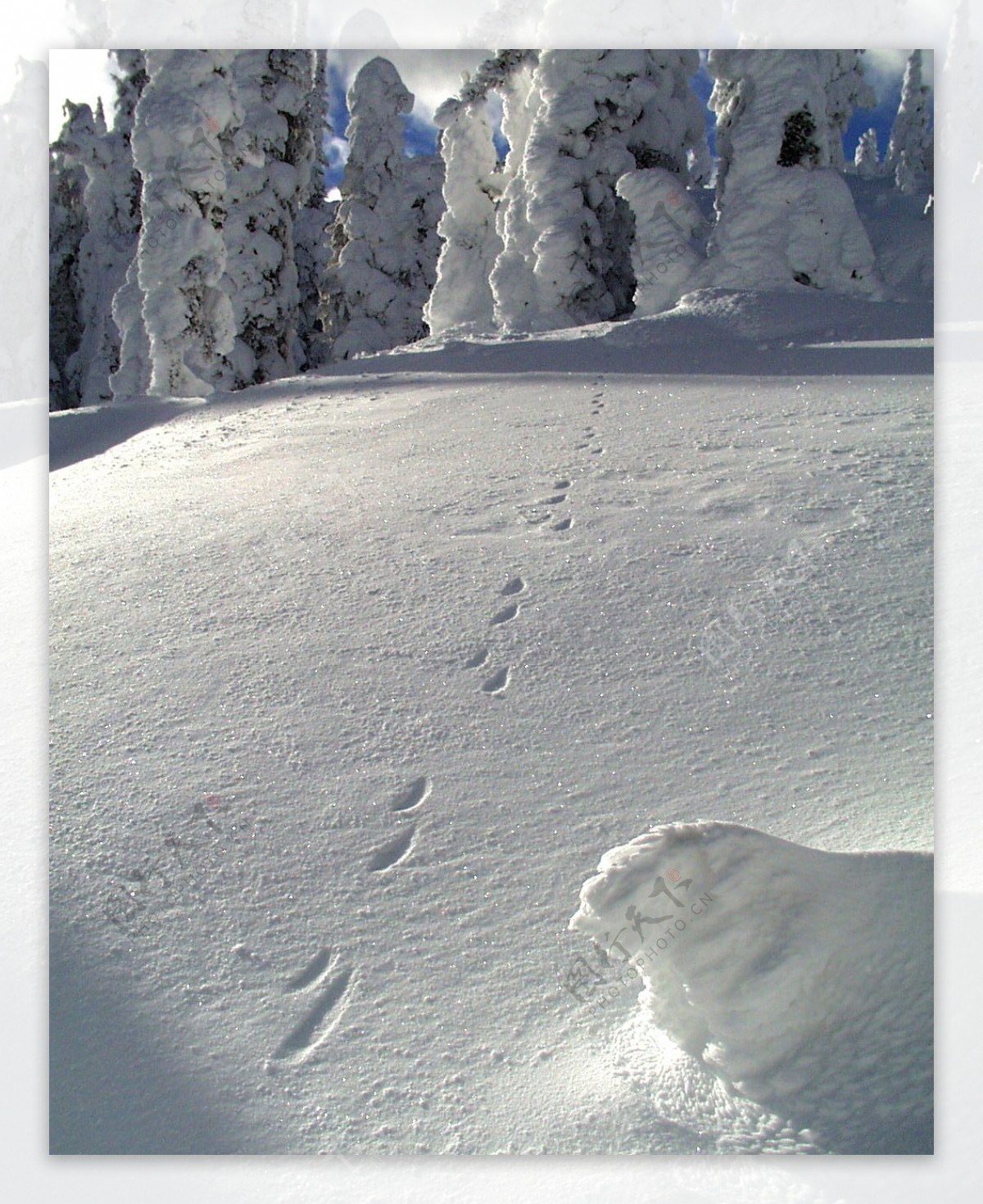 冰雪世界自然风景贴图素材JPG0316