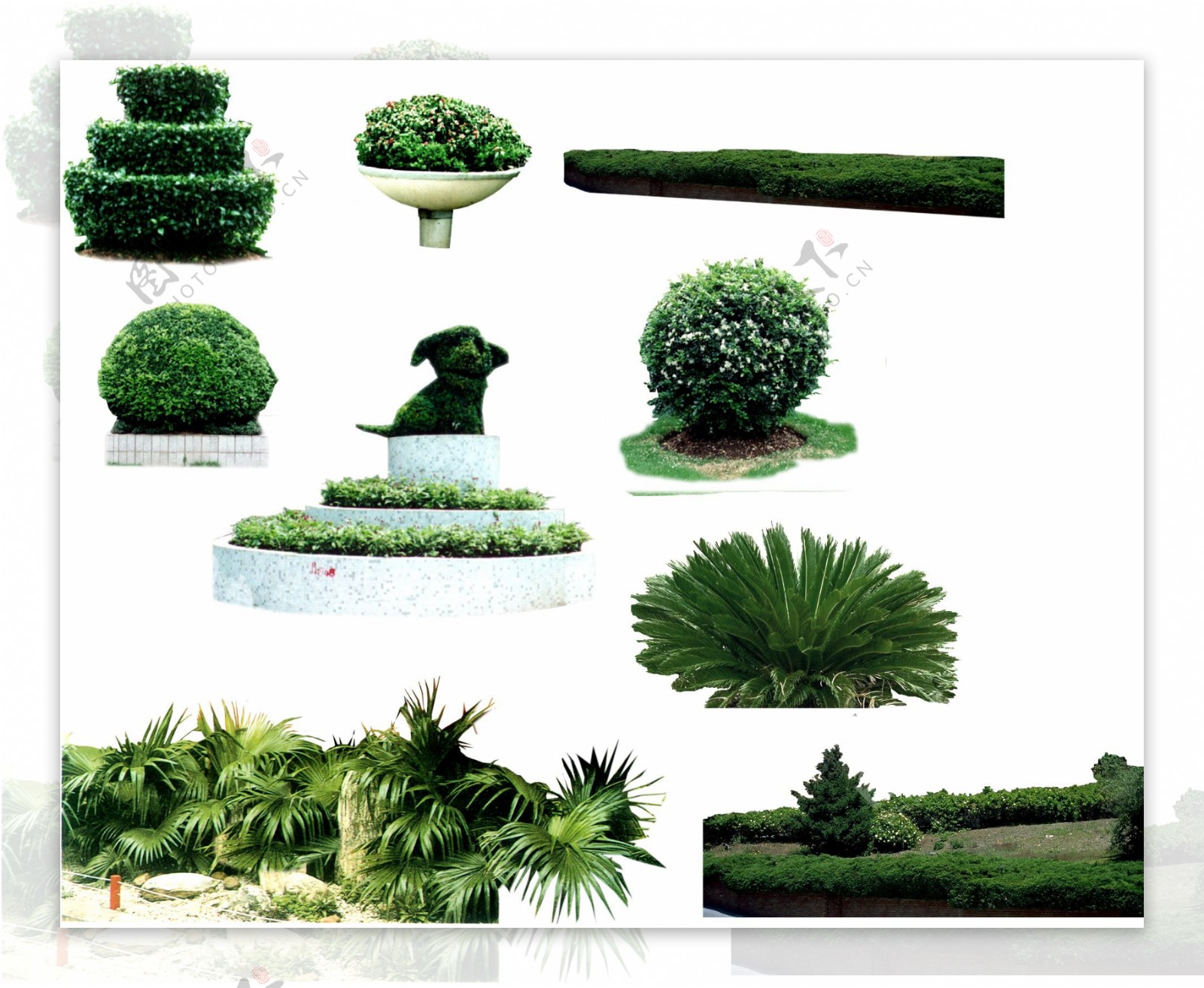 植物贴图素材建筑装饰JPG0227