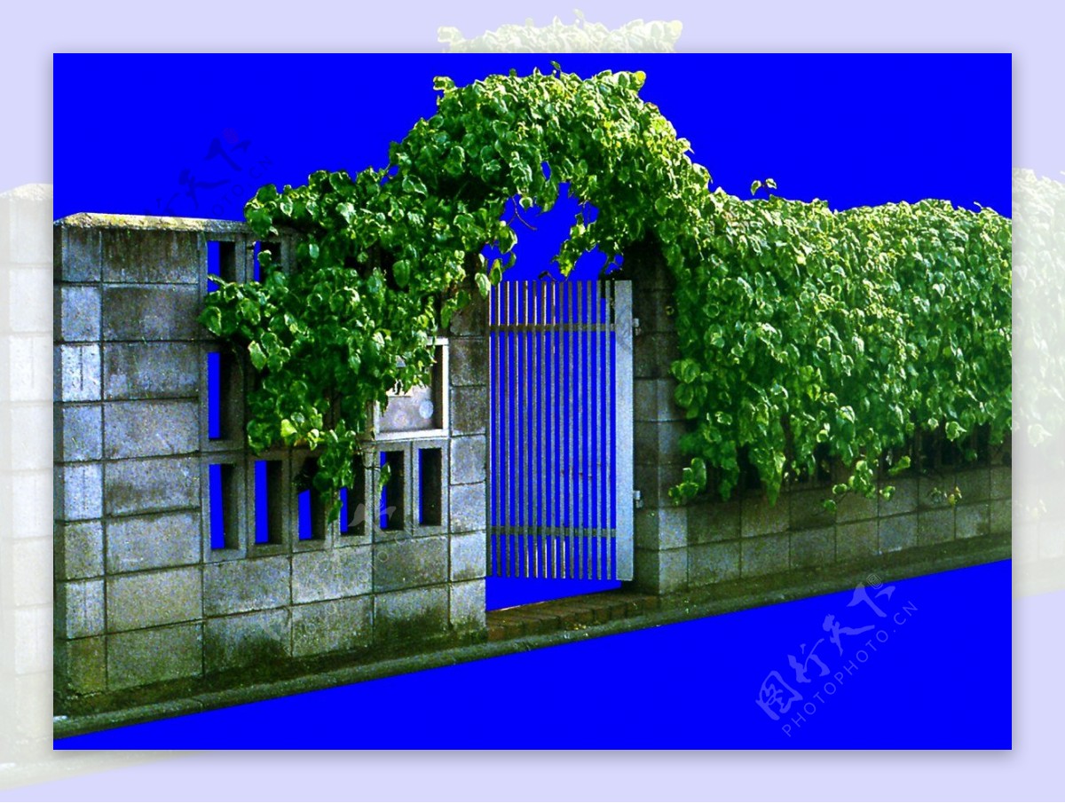 灌木植物贴图素材建筑装饰JPG1987