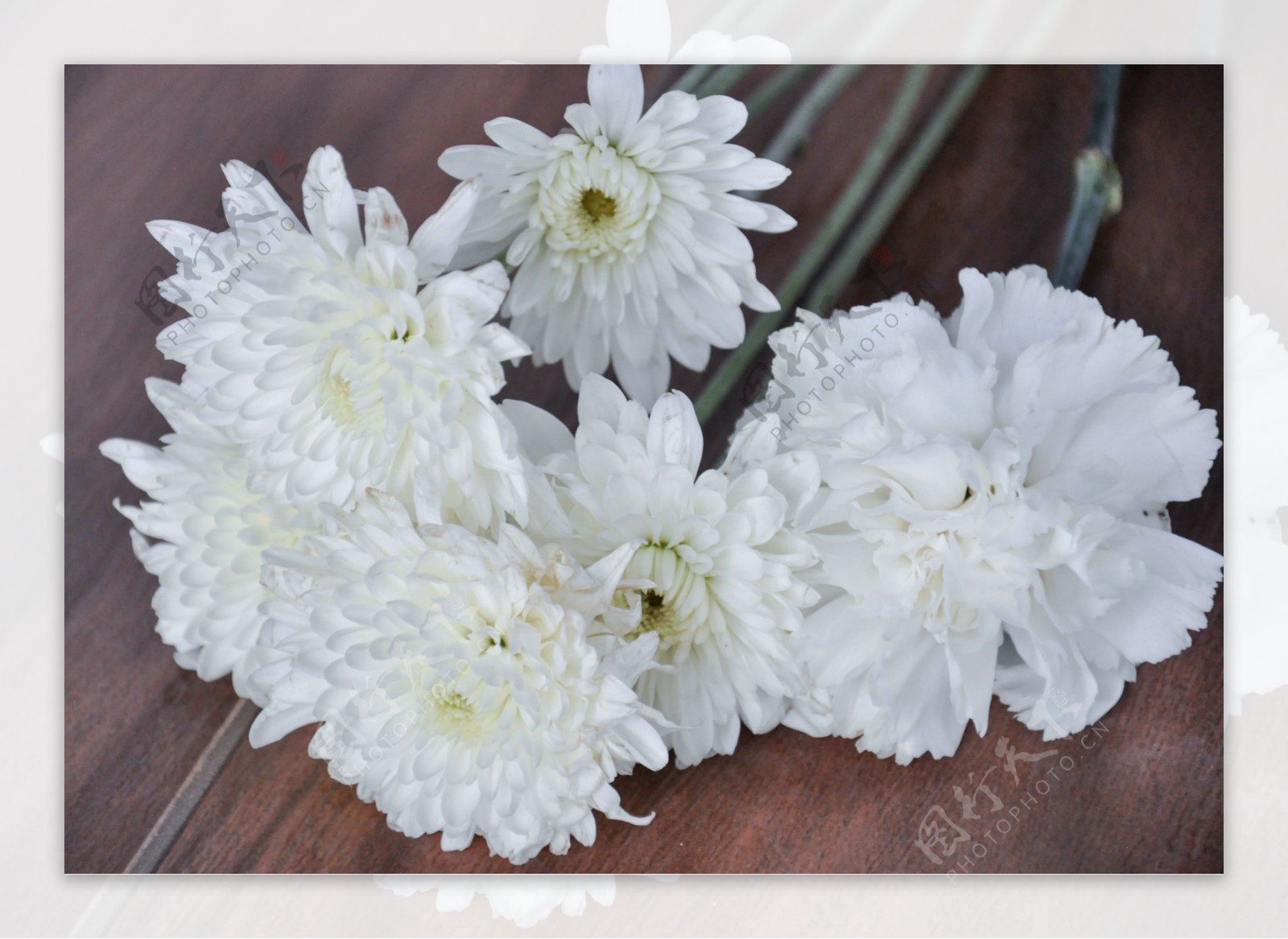 白色的花的照片sta