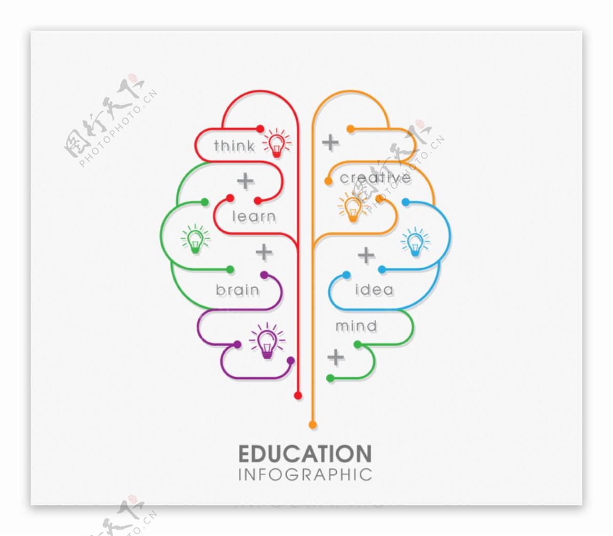 创意大脑教育信息图