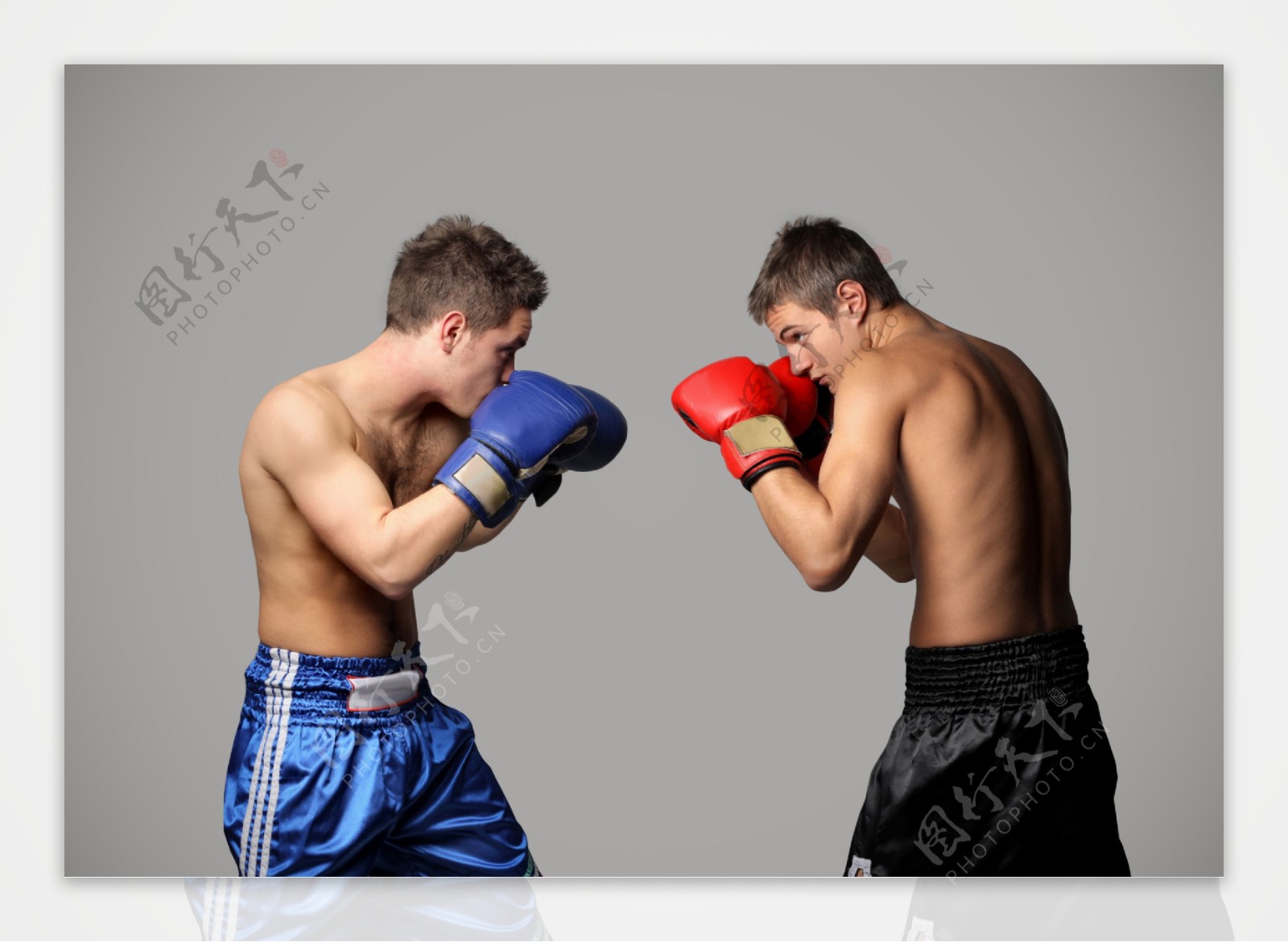 拳击比赛图片