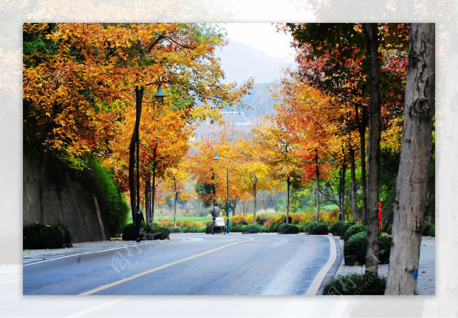 秋天宽广的道路