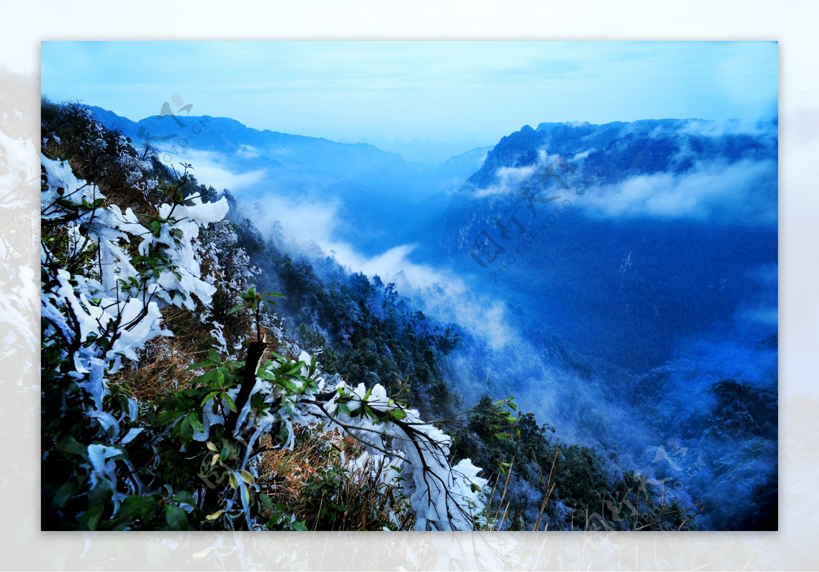 冬天树木风景