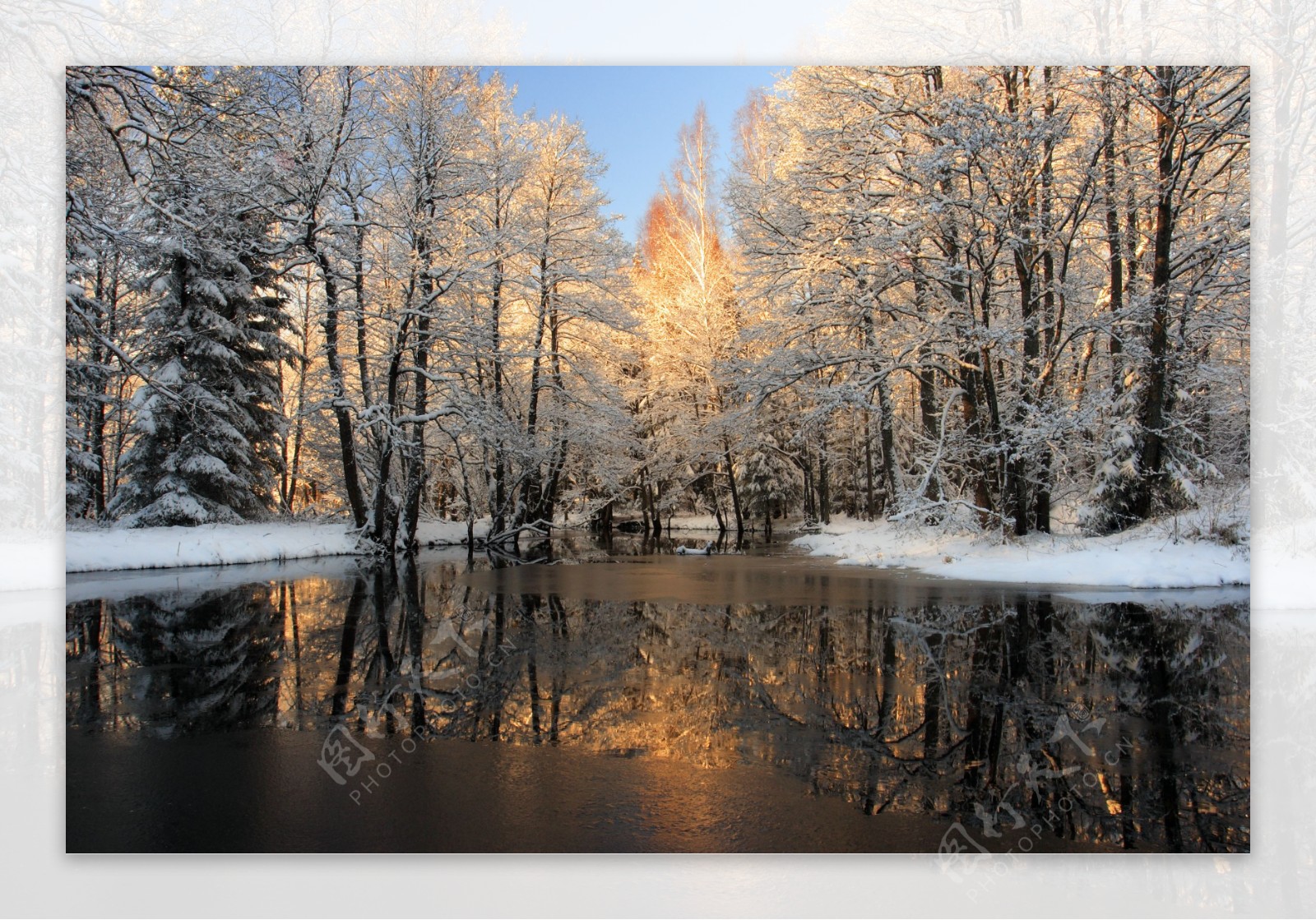 冬天树林湖泊风景