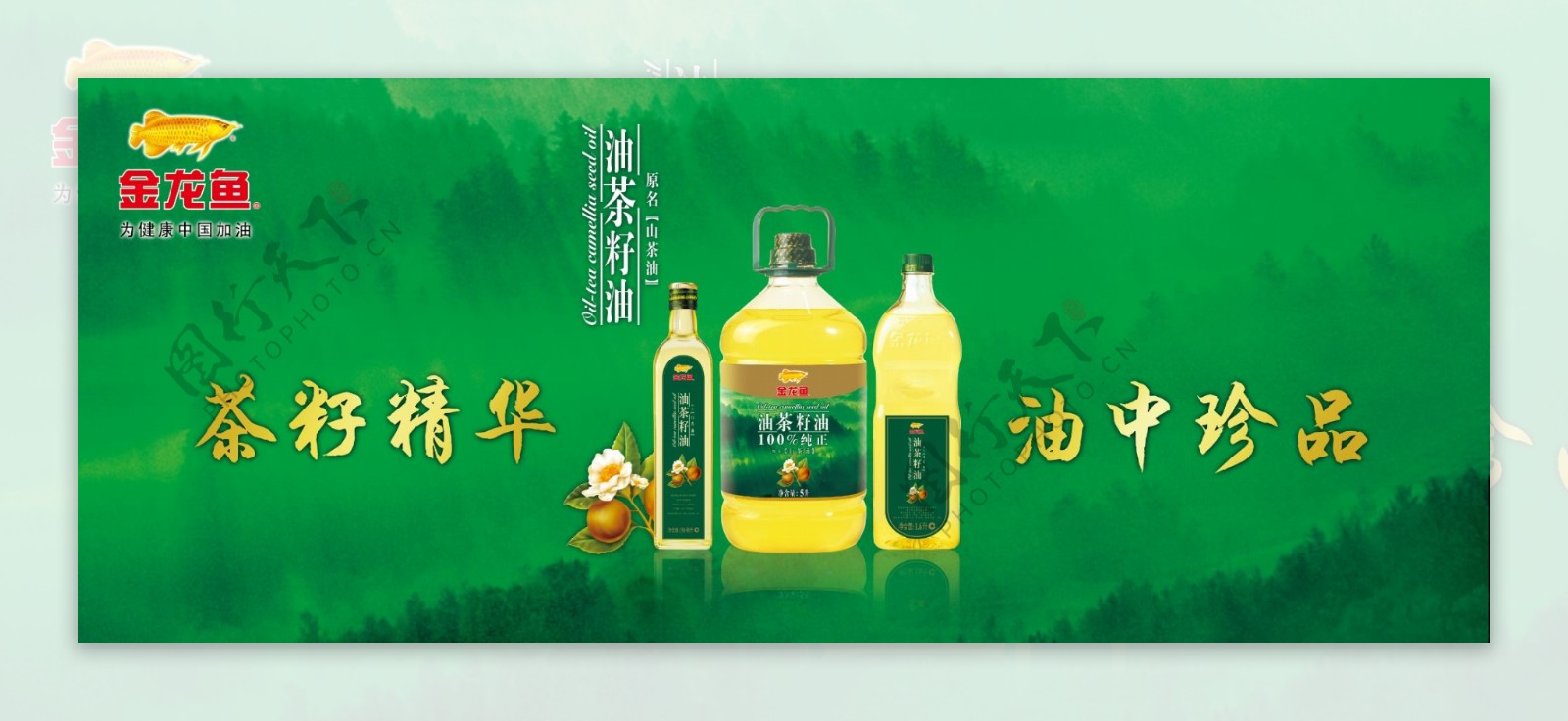 金龙鱼茶籽油广告