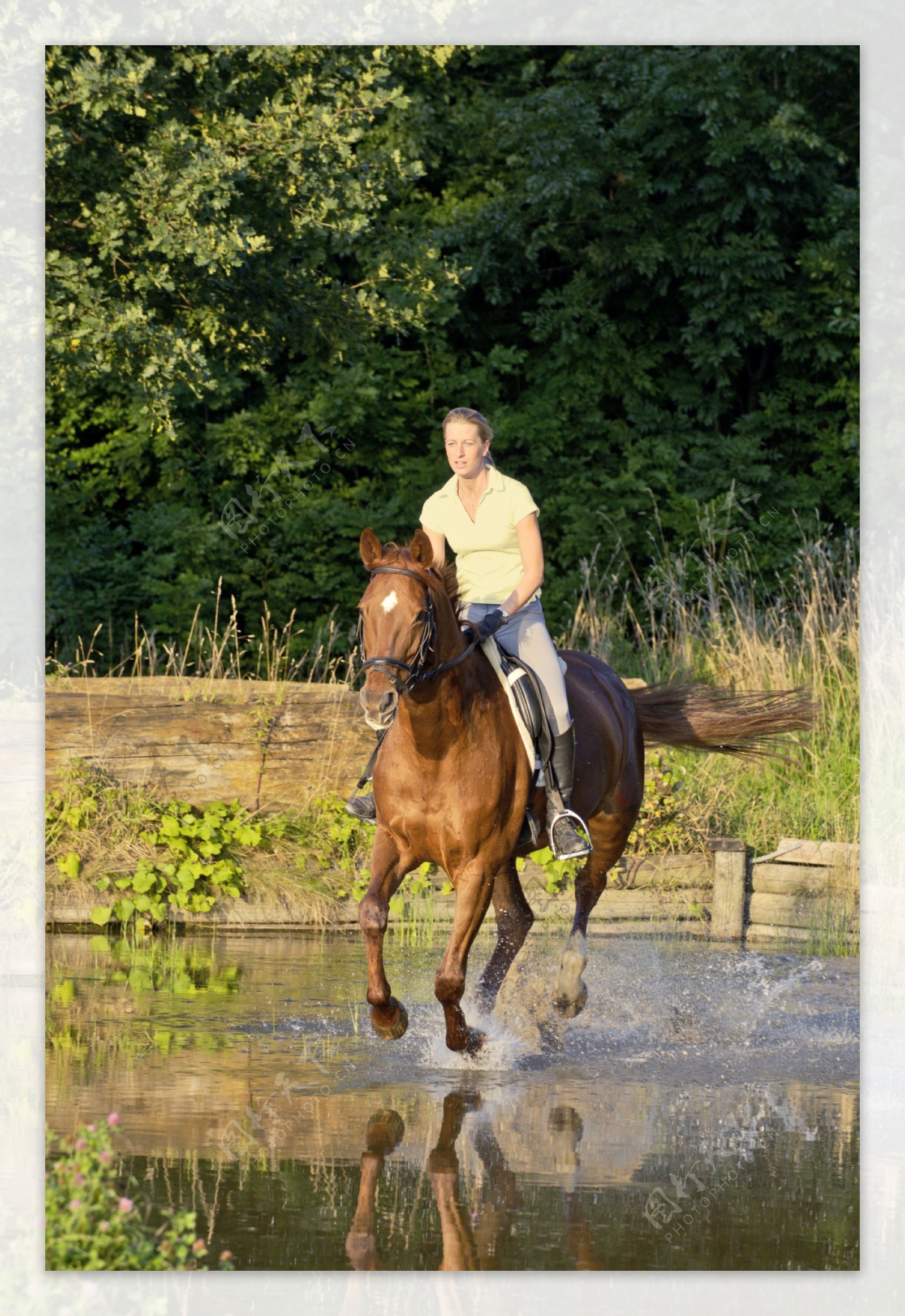 在水中骑马的女人图片