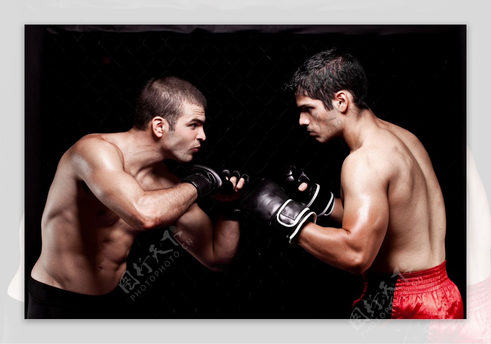 对峙的拳击运动员图片