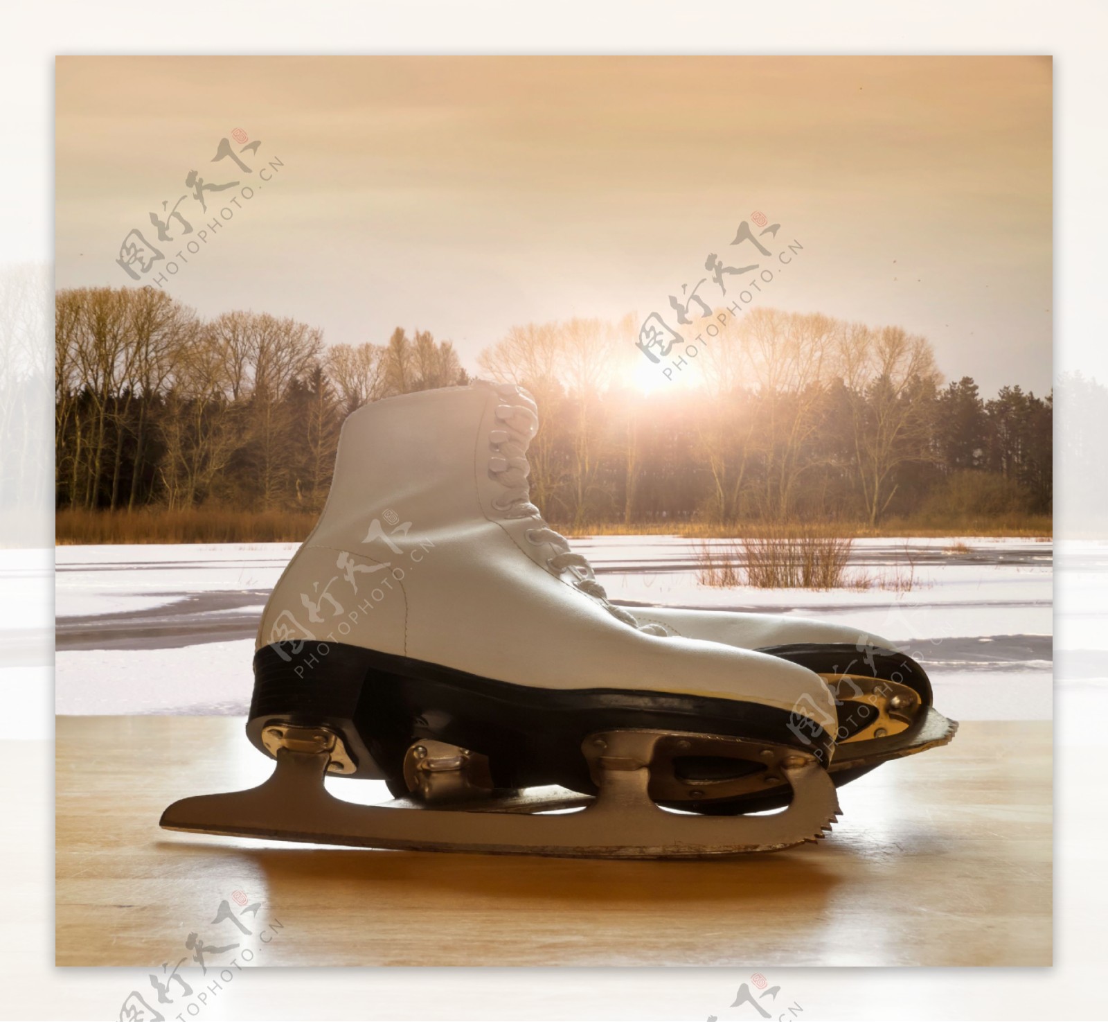 高清溜冰鞋摄影图片