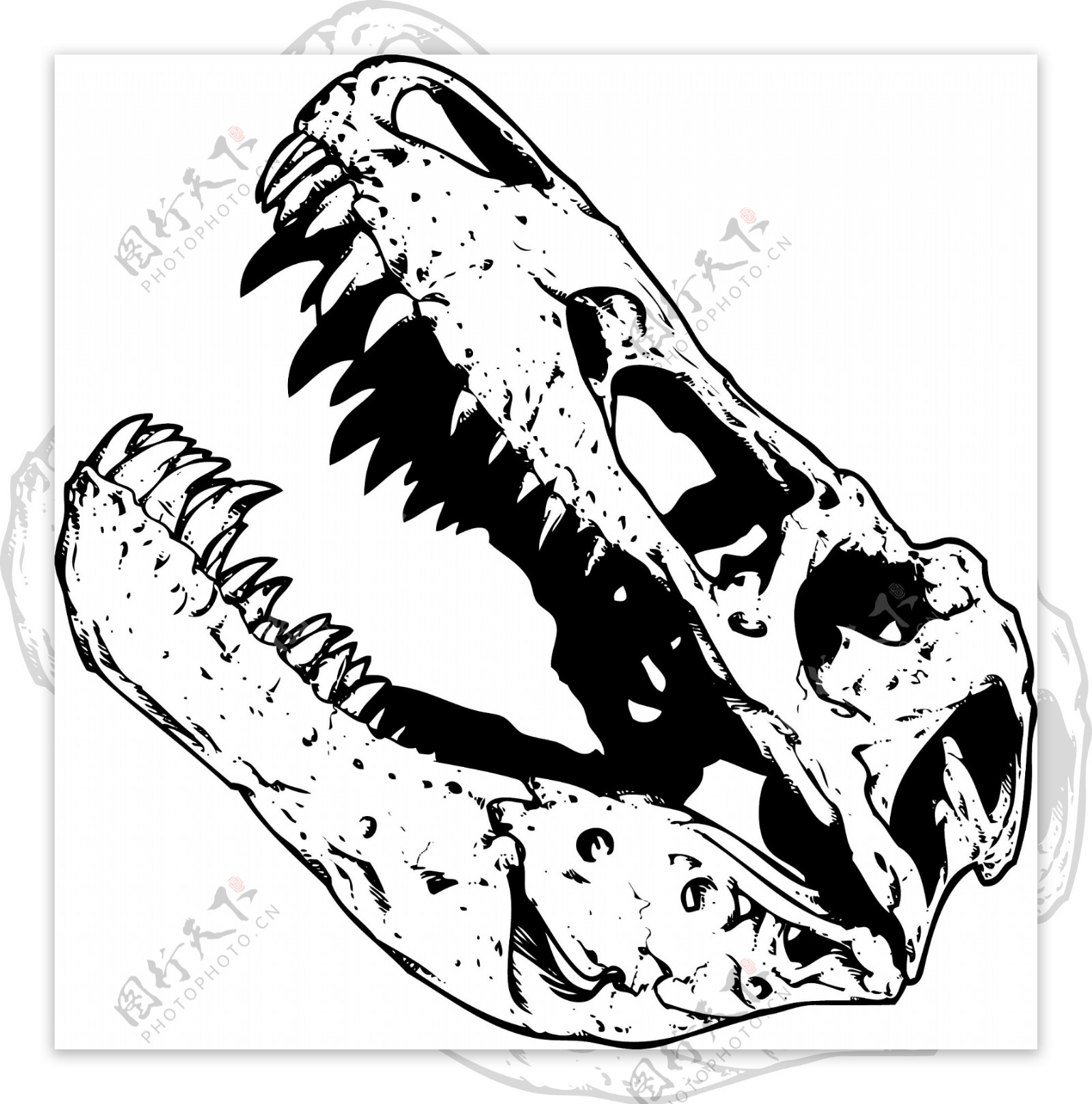 矢量恐龙头骨设计