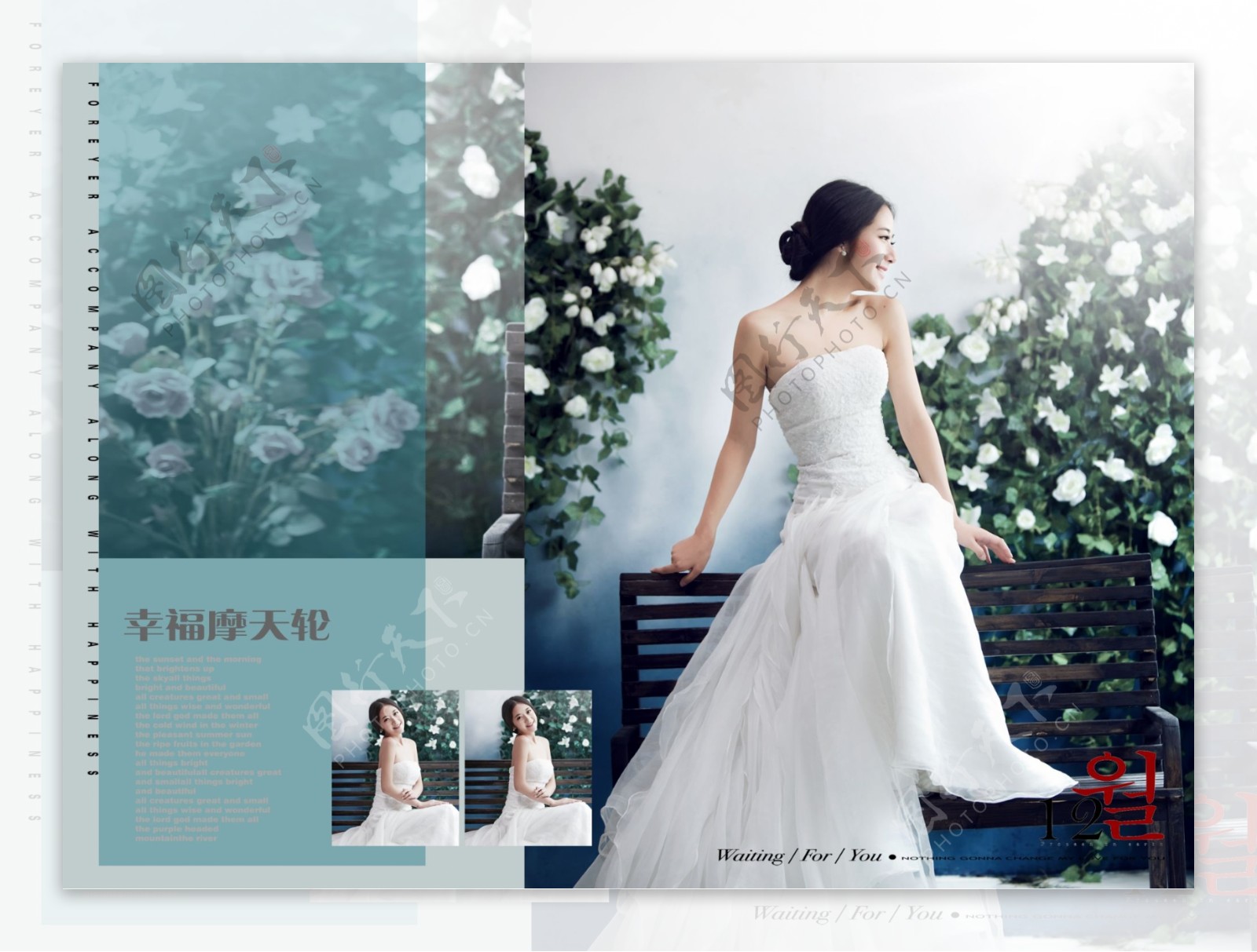 韩式婚纱图片素材-编号15797023-图行天下