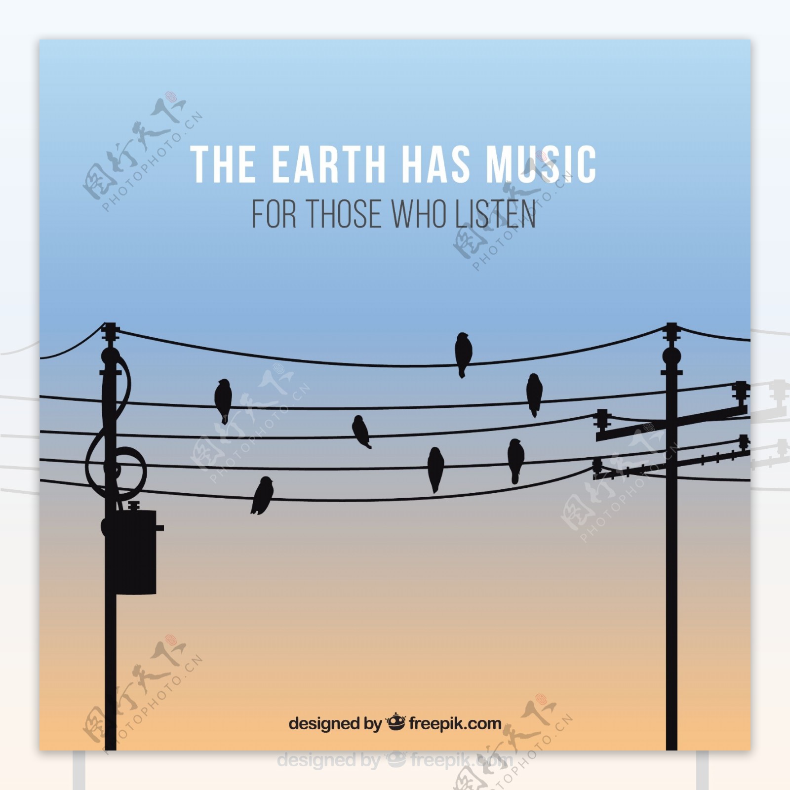 音乐背景与鸟类