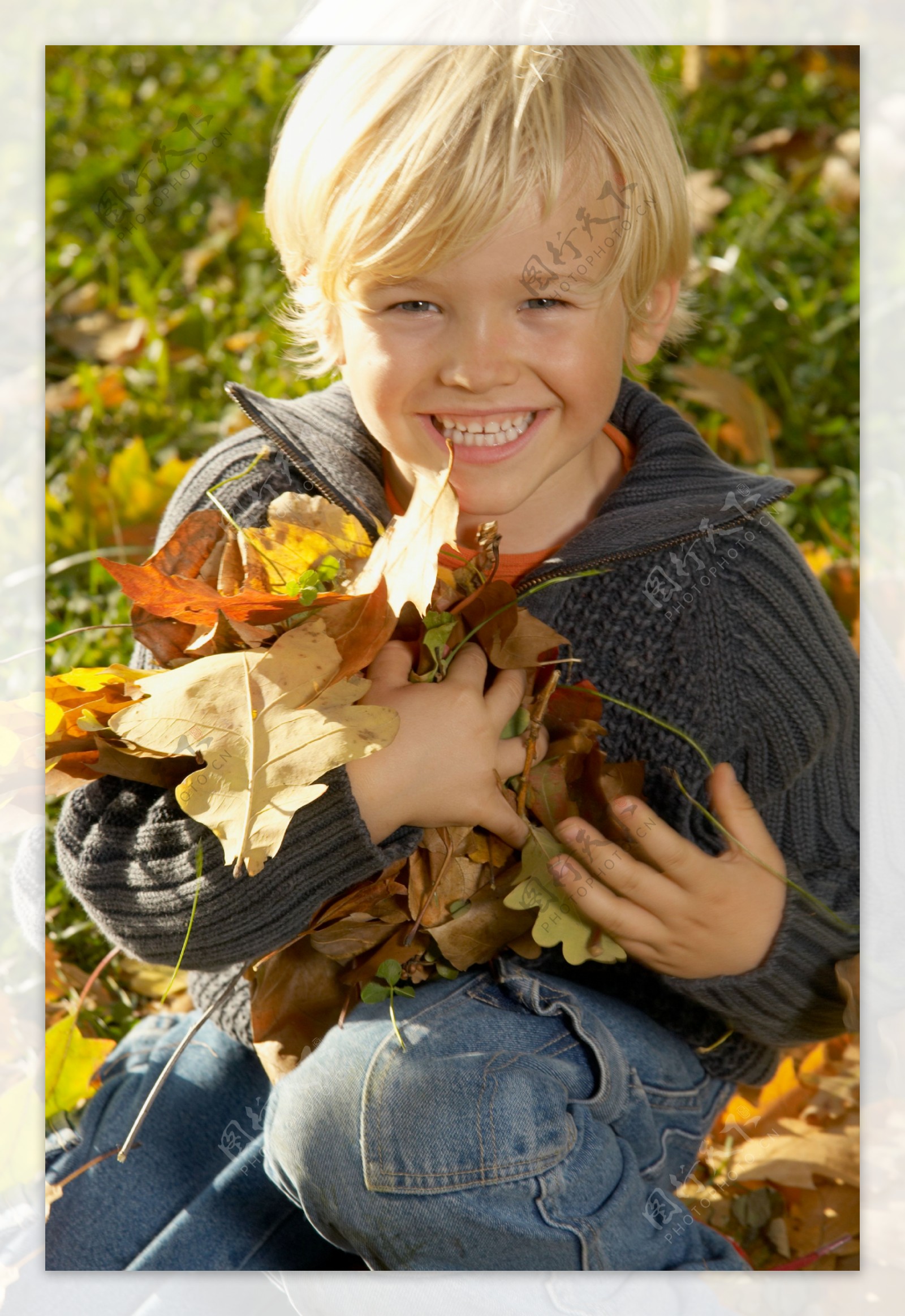 抱树叶的小男孩图片