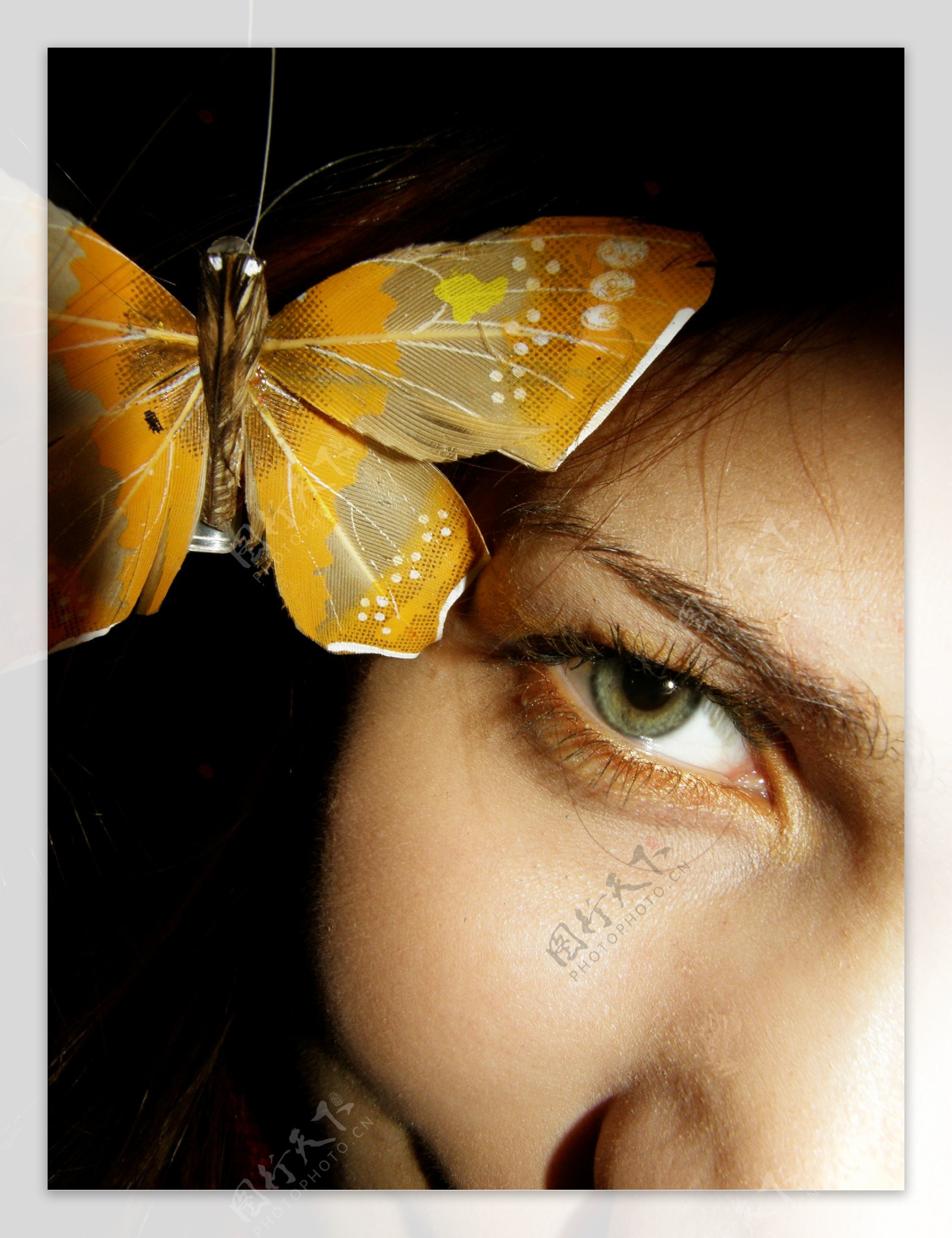 蝴蝶与女性眼部图片
