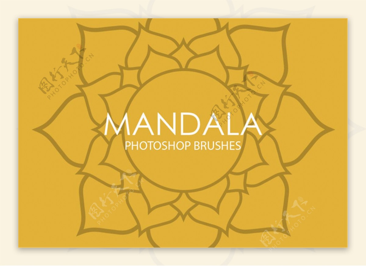 手绘漂亮的太阳花向日葵花朵花纹Photoshop笔刷Mandala系列