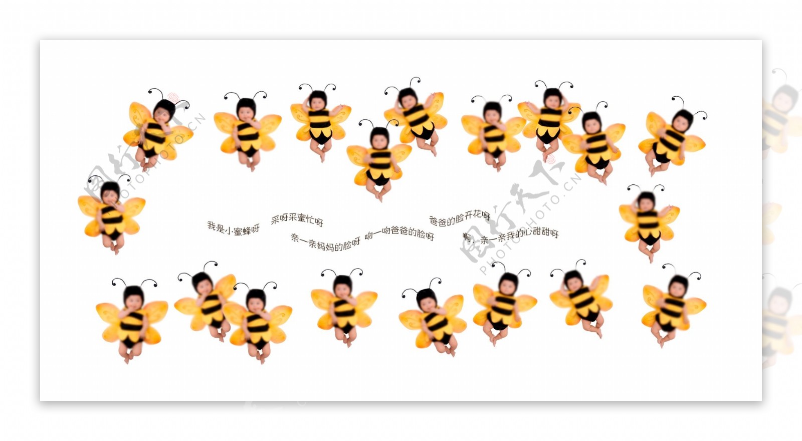 小蜜蜂宝宝相册排版