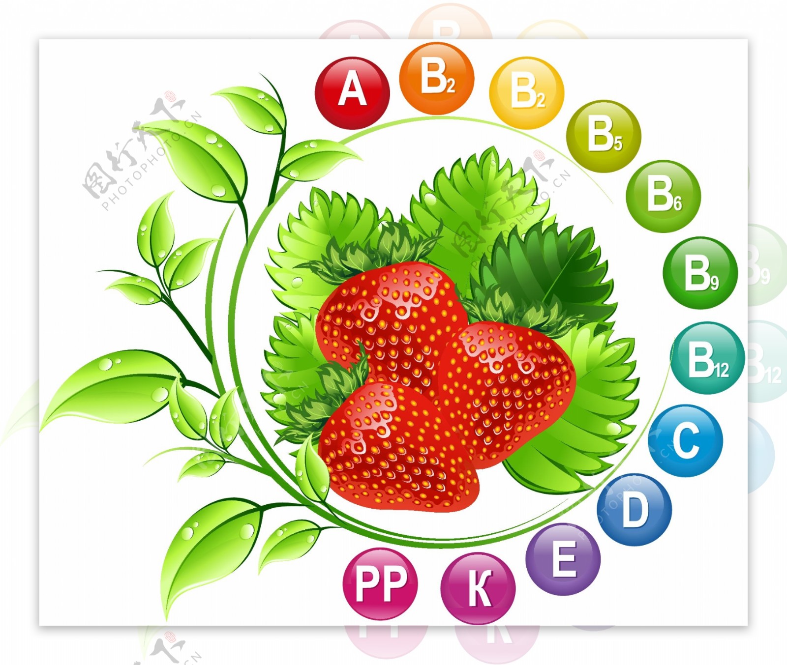 草莓的维生素