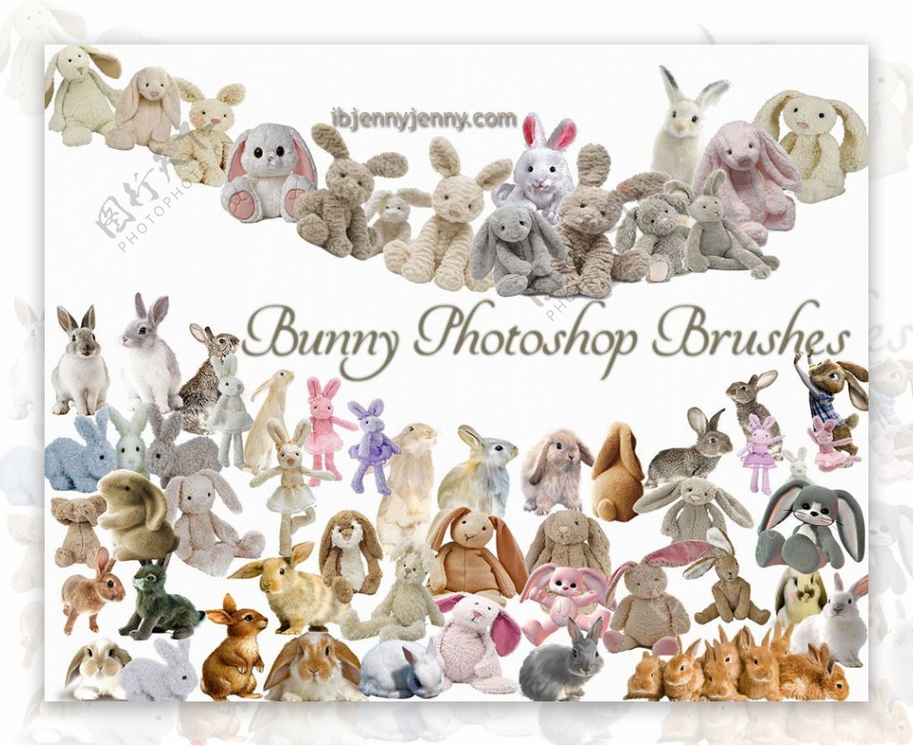 各种兔子和兔子玩具娃娃PS笔刷