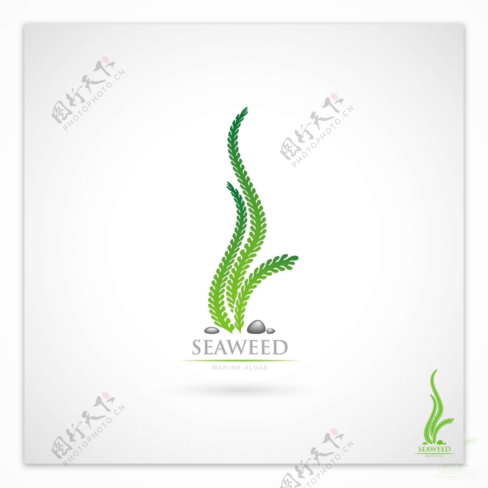 海藻logo设计