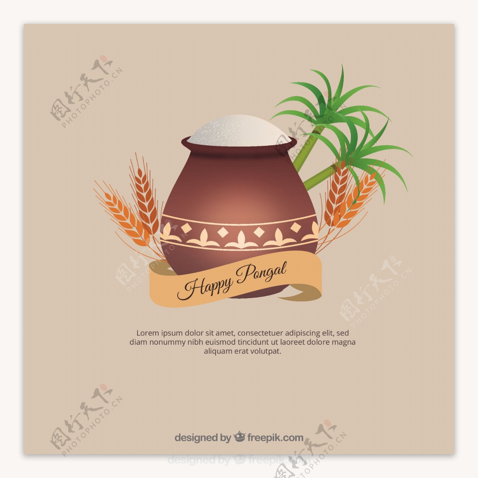 棕榈树小麦和水稻的背景图