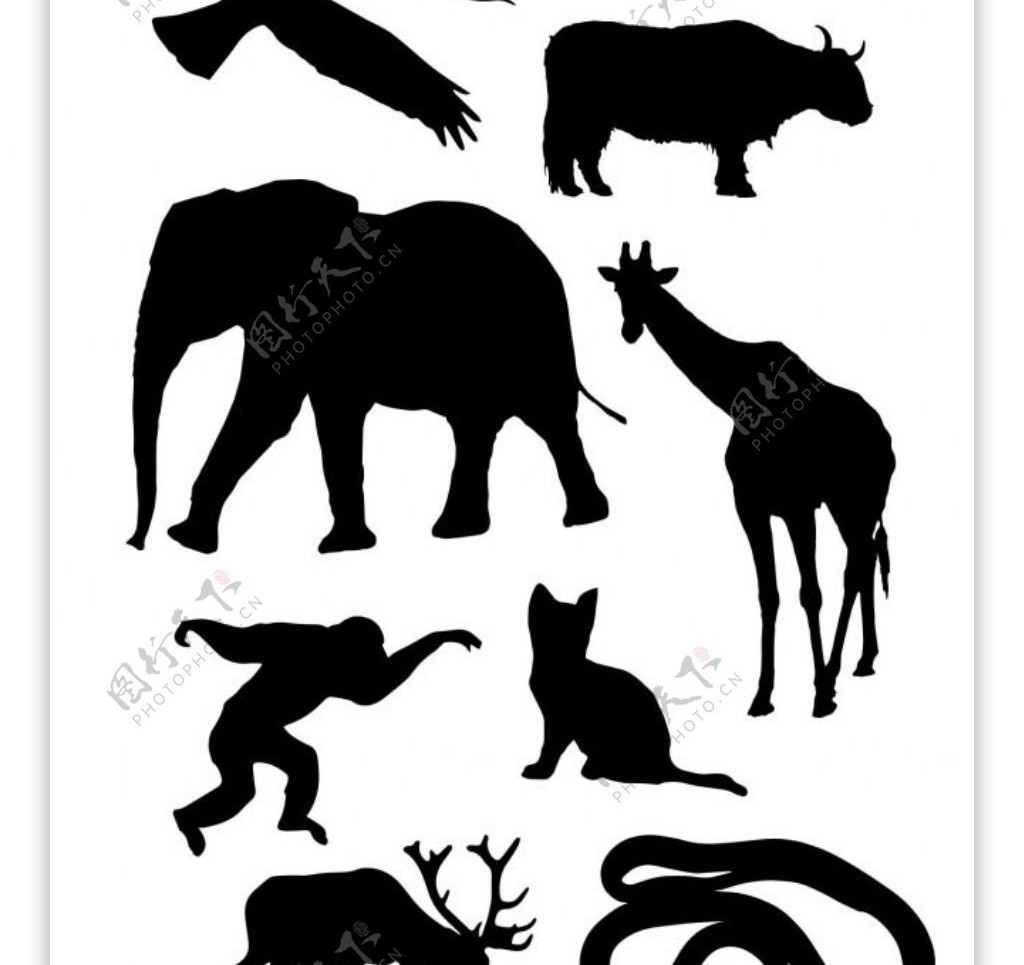 动物剪影设计