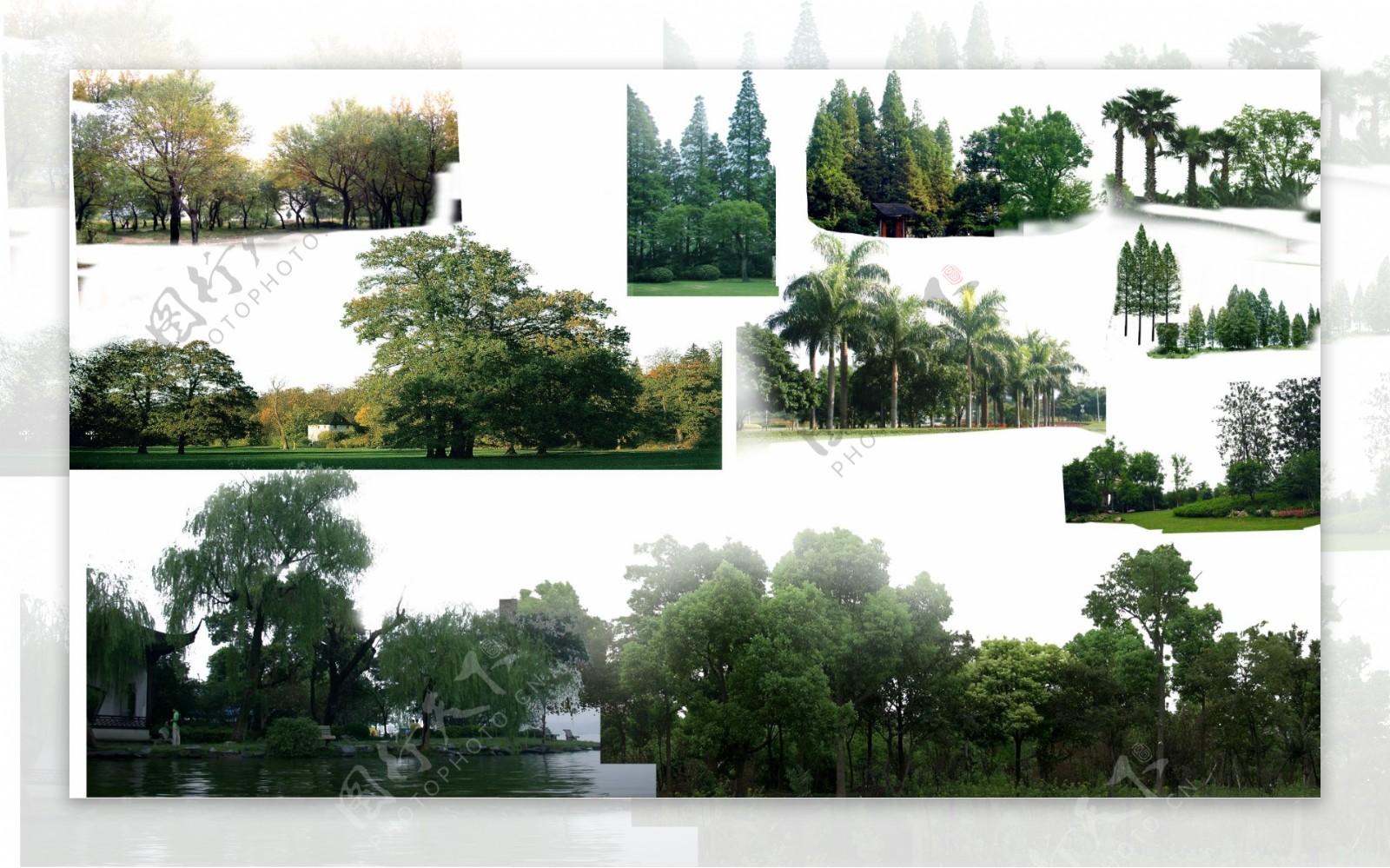 景观设计效果图素材PS素材配景树PSD