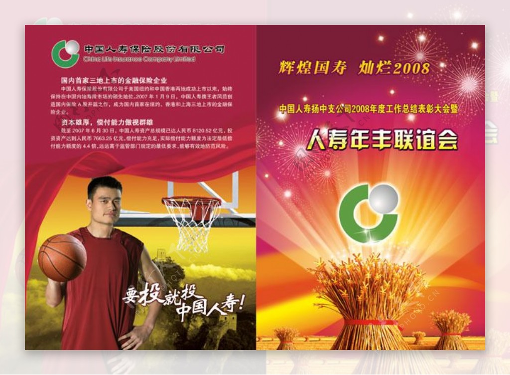 中国人寿联谊会广告设计模板