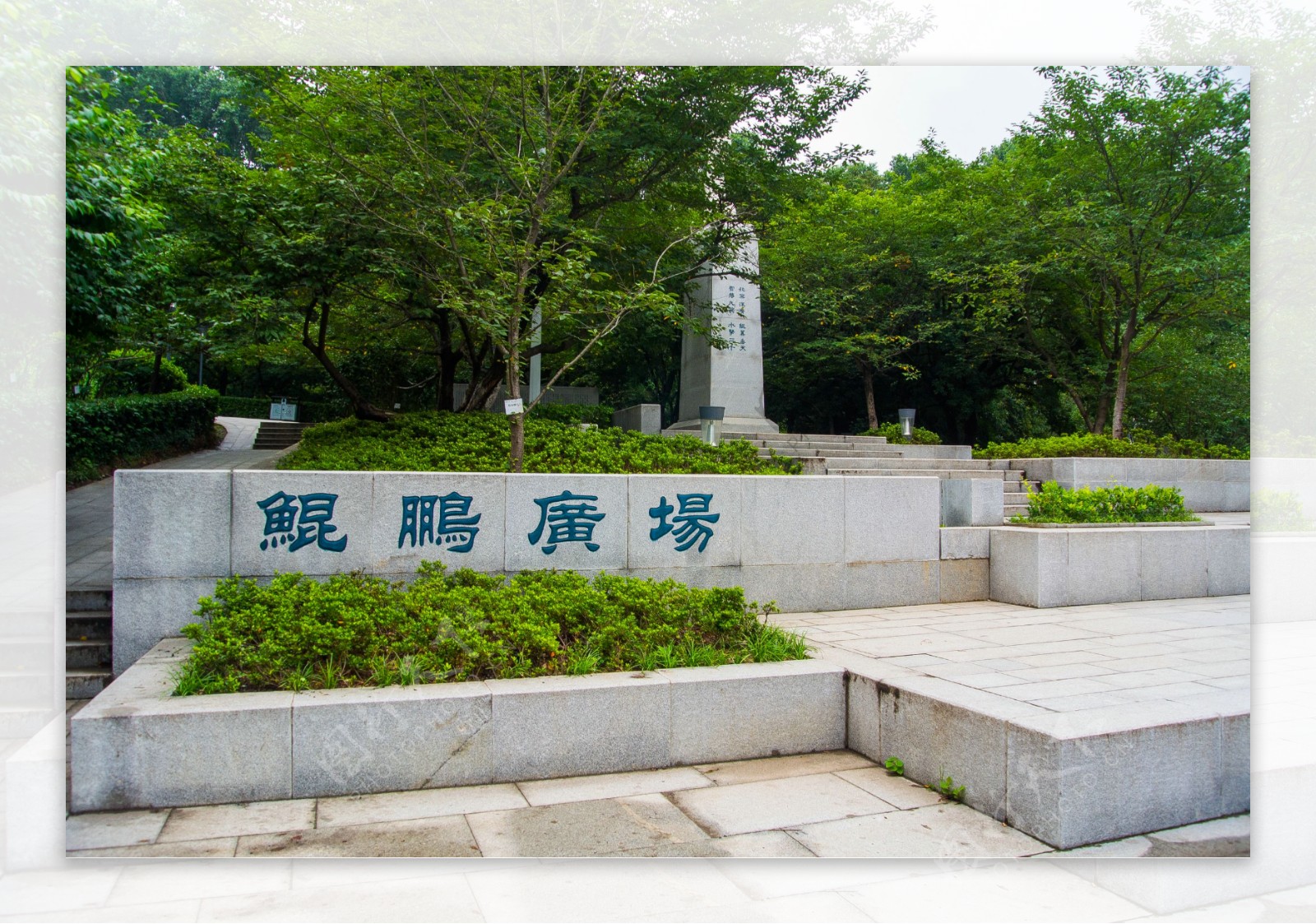 武汉大学图片