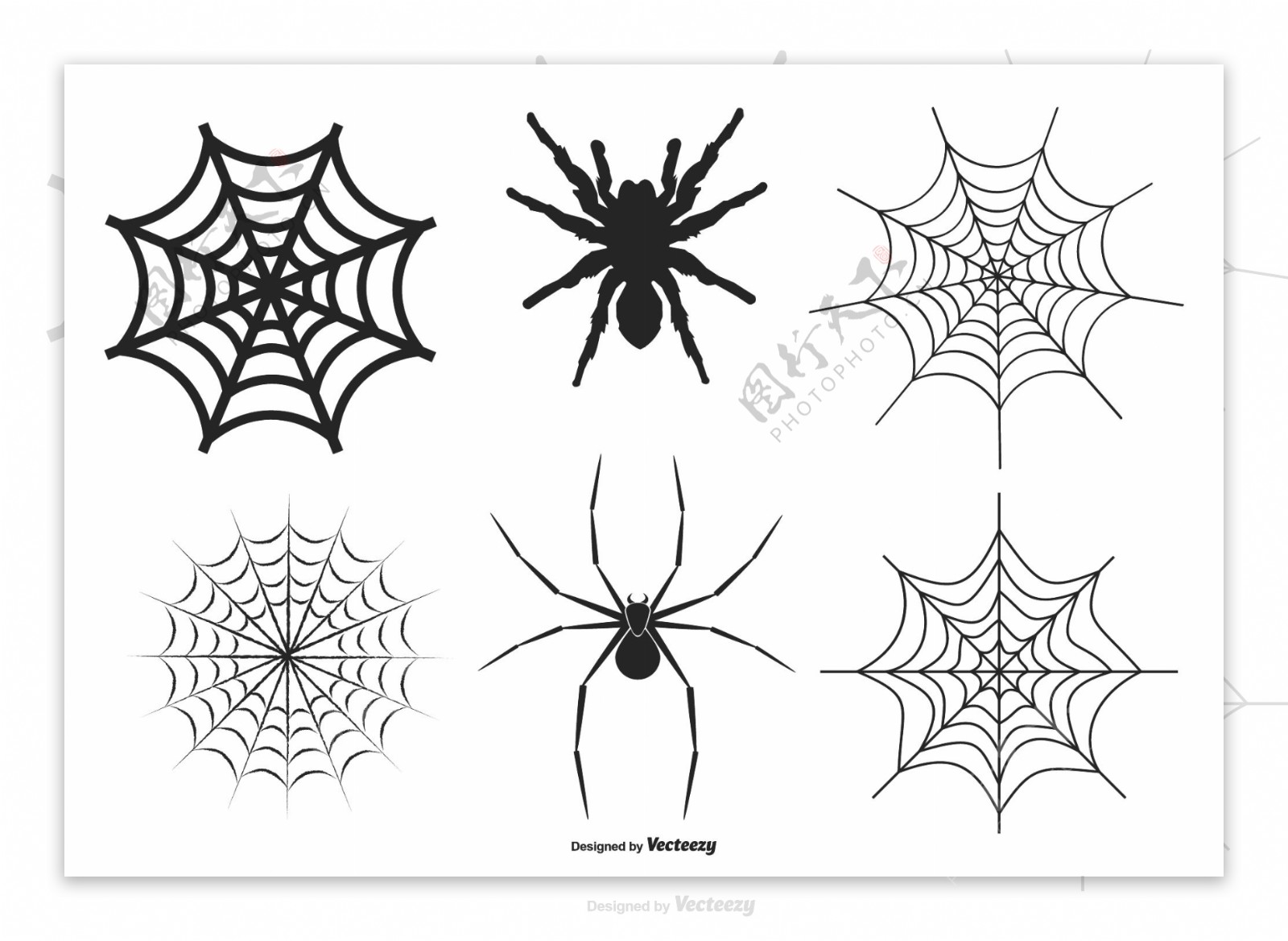 蜘蛛和网向量集