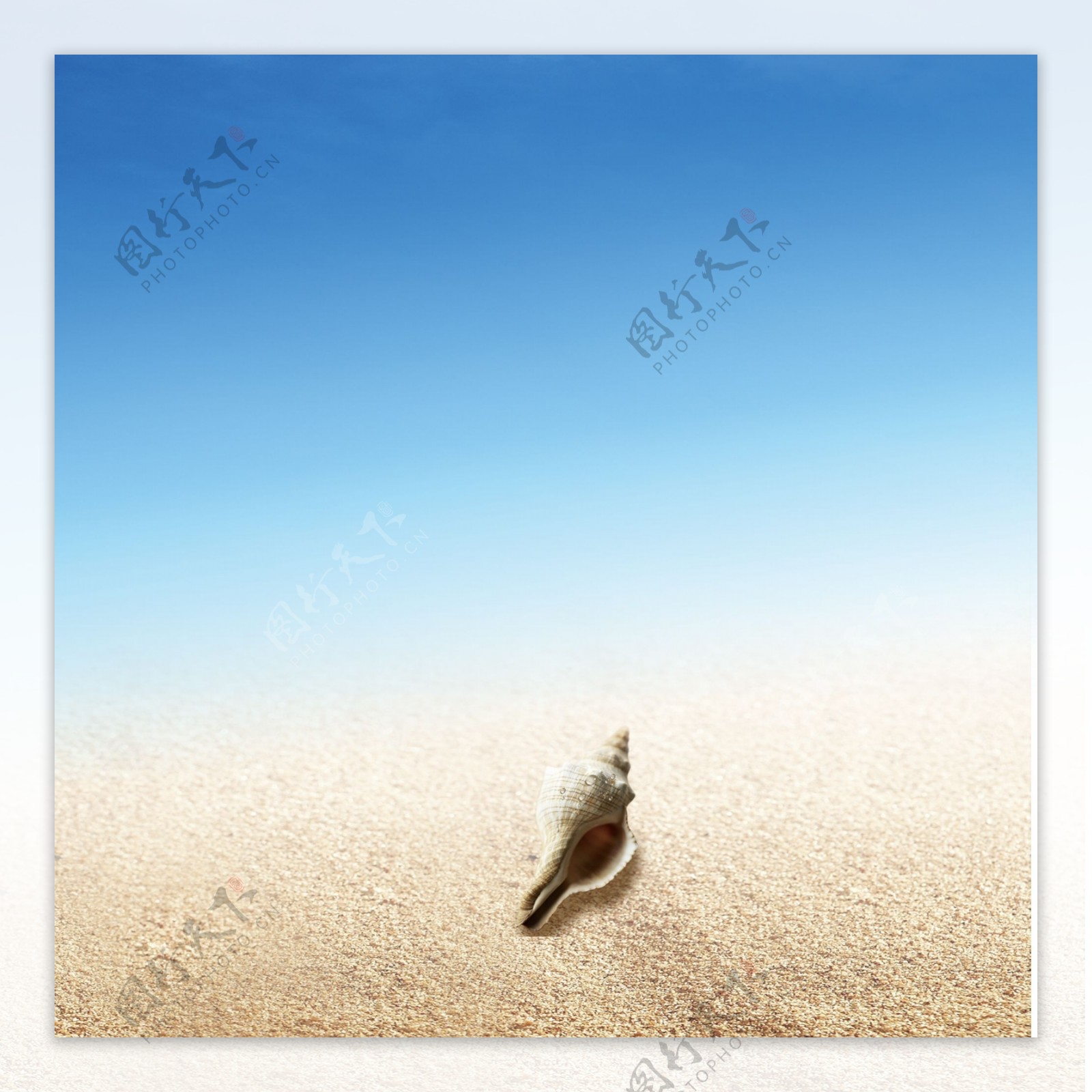 海水沙滩海螺广告背景