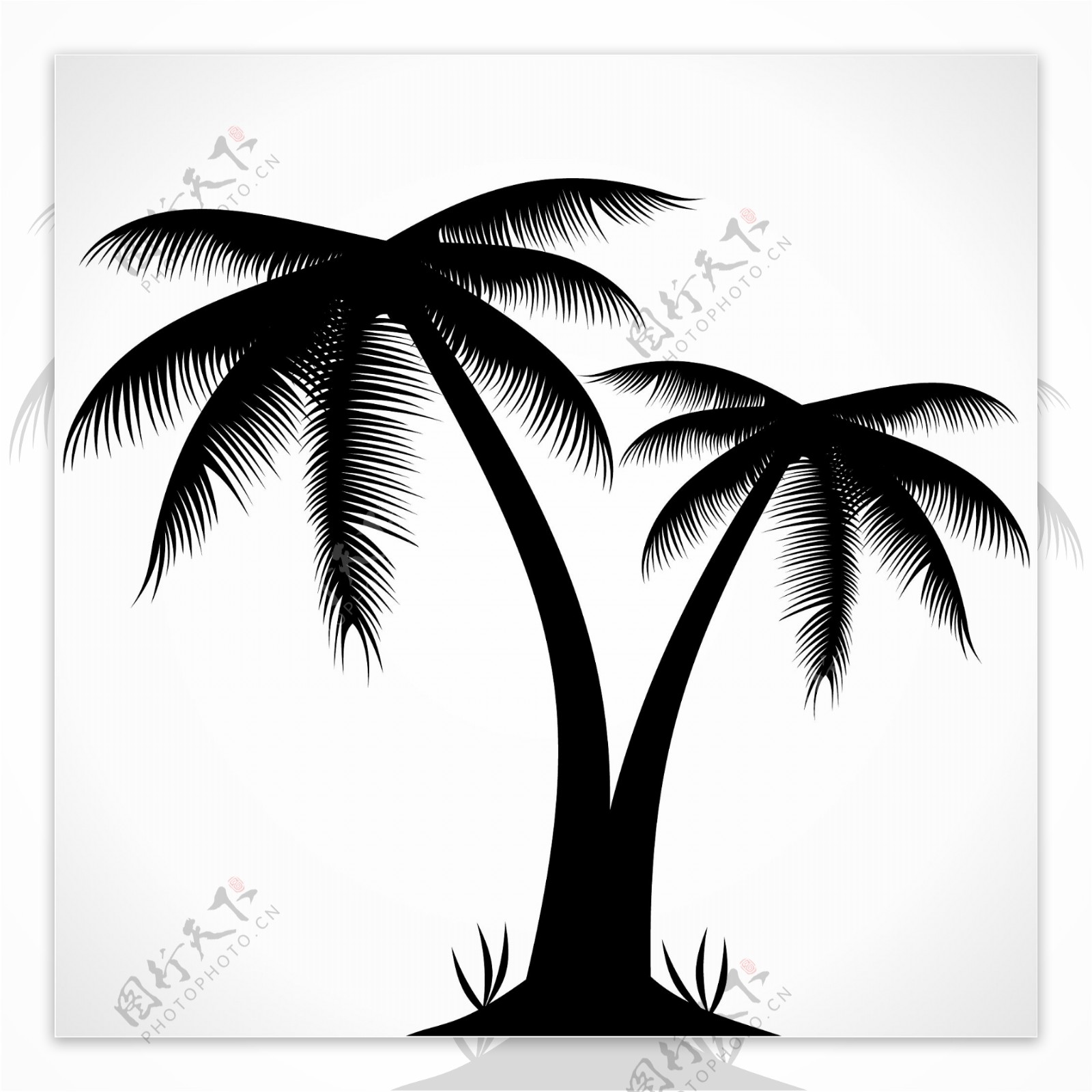 棕榈树的剪影图标矢量背景
