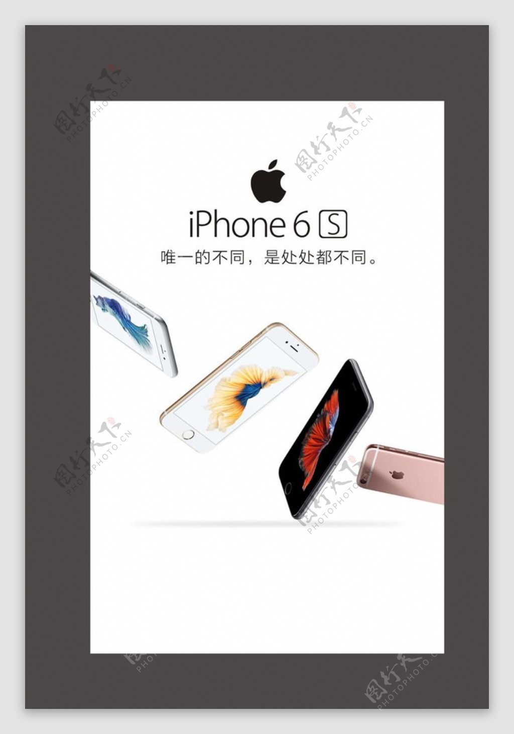 iphone6s苹果6S图片