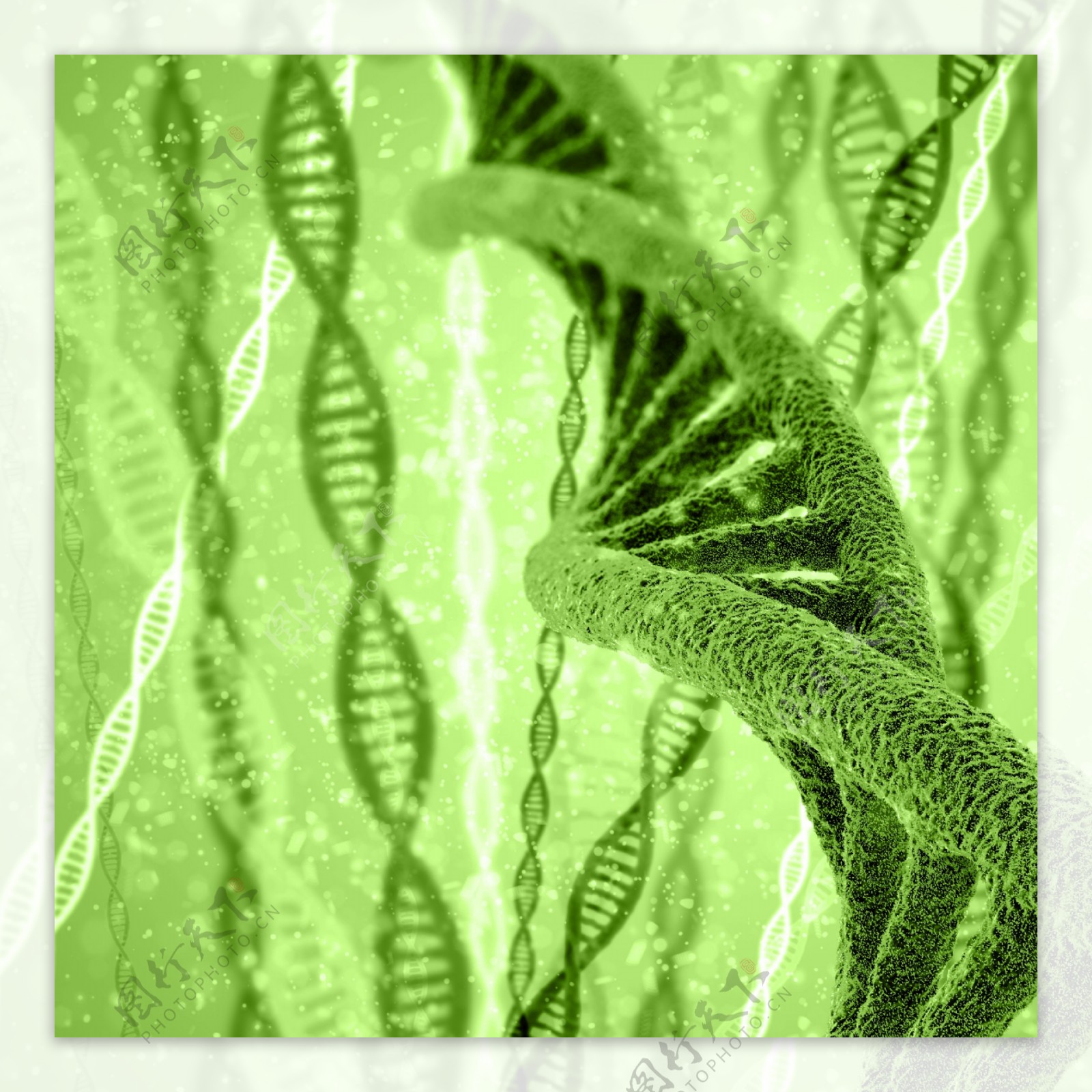 绿色DNA双螺旋结构图片