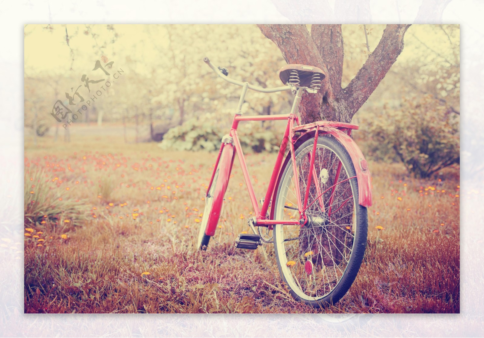 放在草丛里的红色自行车图片