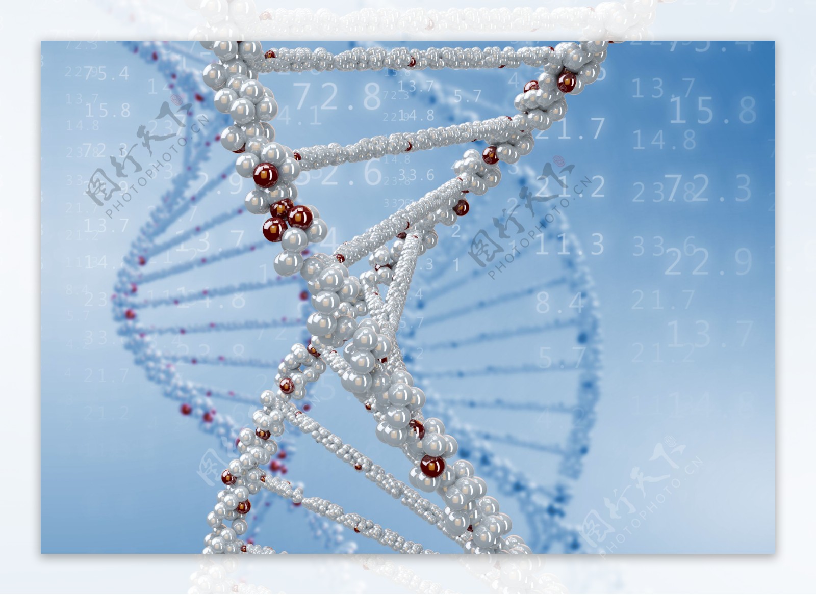 数字背景与DNA结构图片