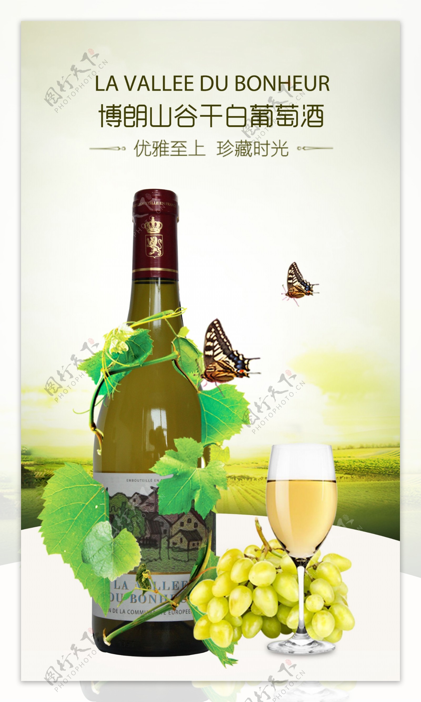 博朗山谷红酒海报