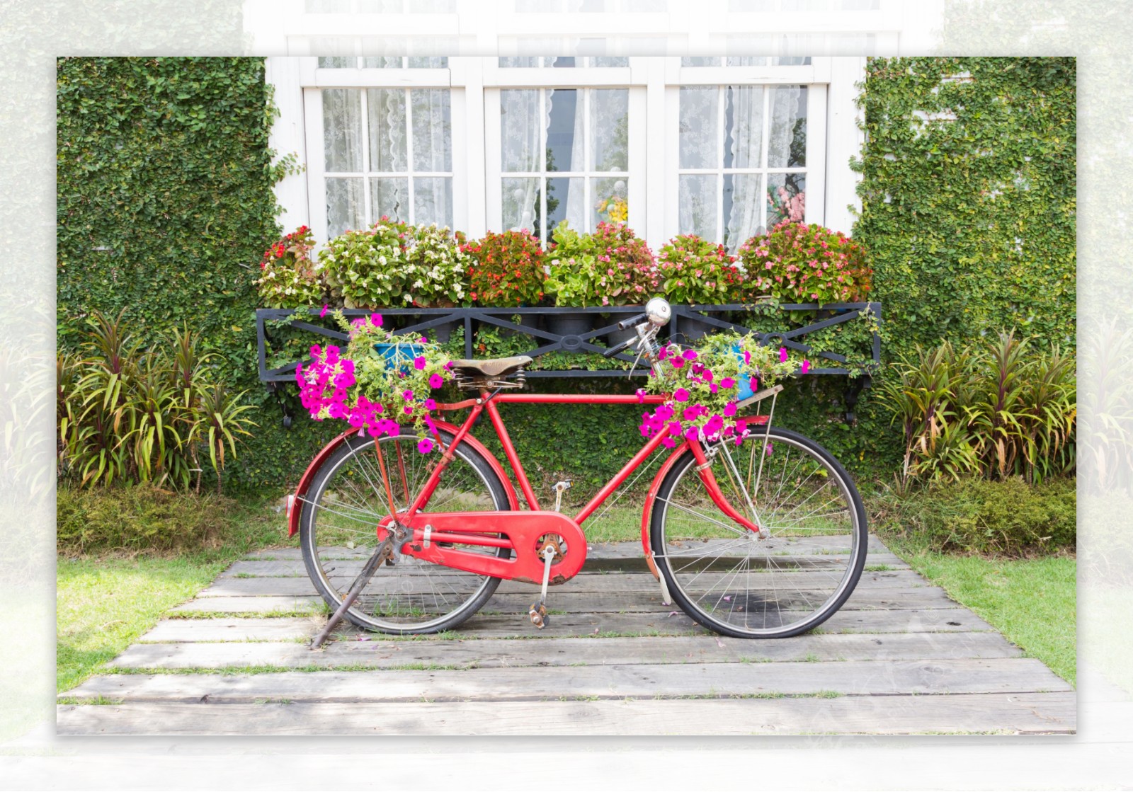 美丽鲜花自行车图片