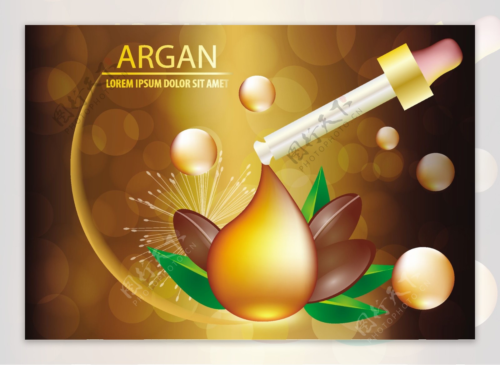 Argan油血清和背景概念护肤化妆品