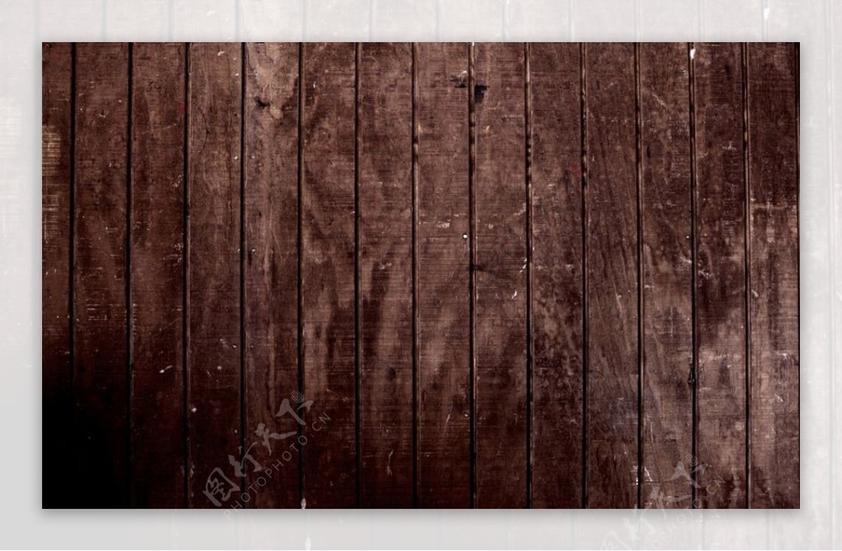 纹理树棕色壁纸网站背景图片