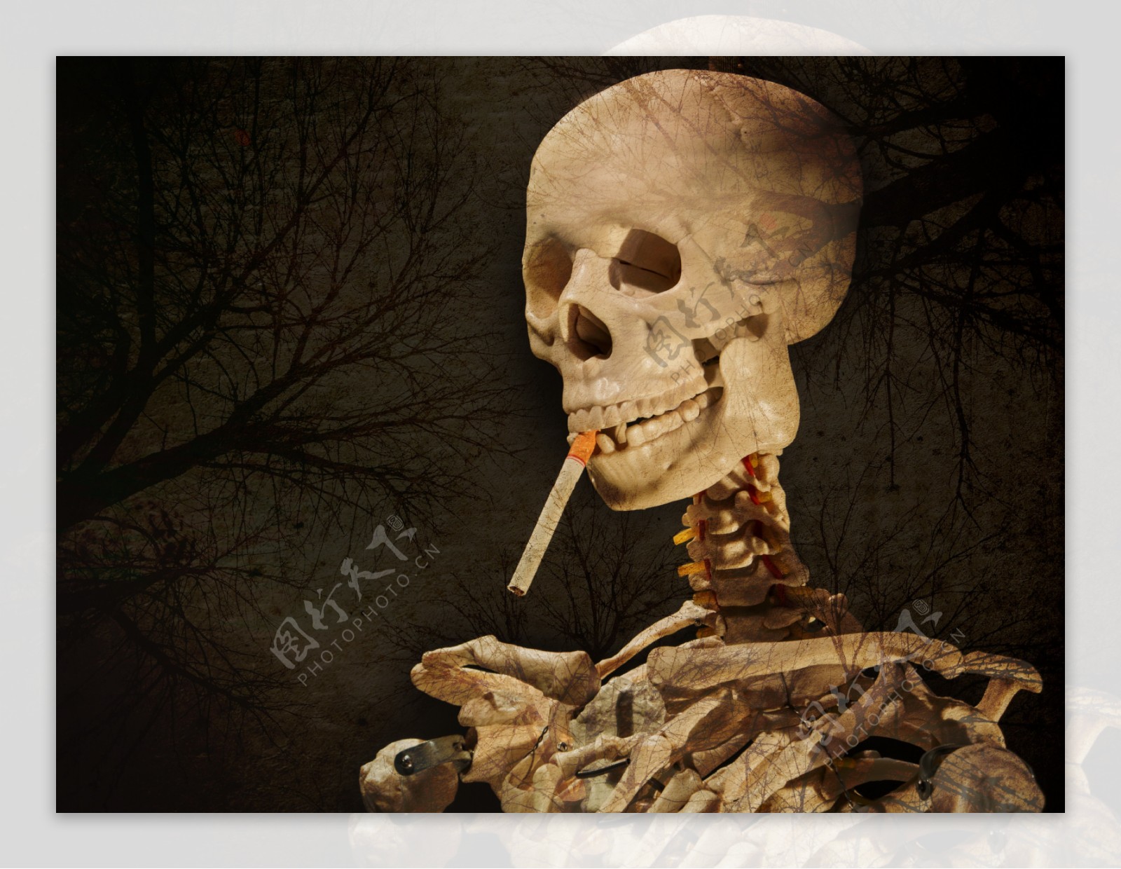 吸烟危害图片