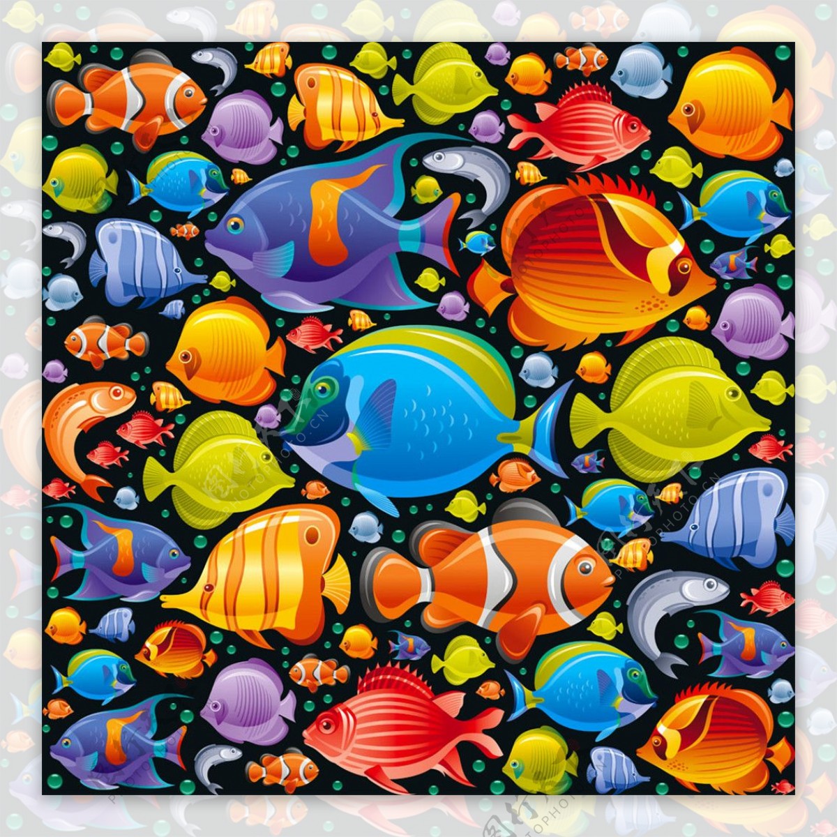 彩色海洋动物无缝背景图片