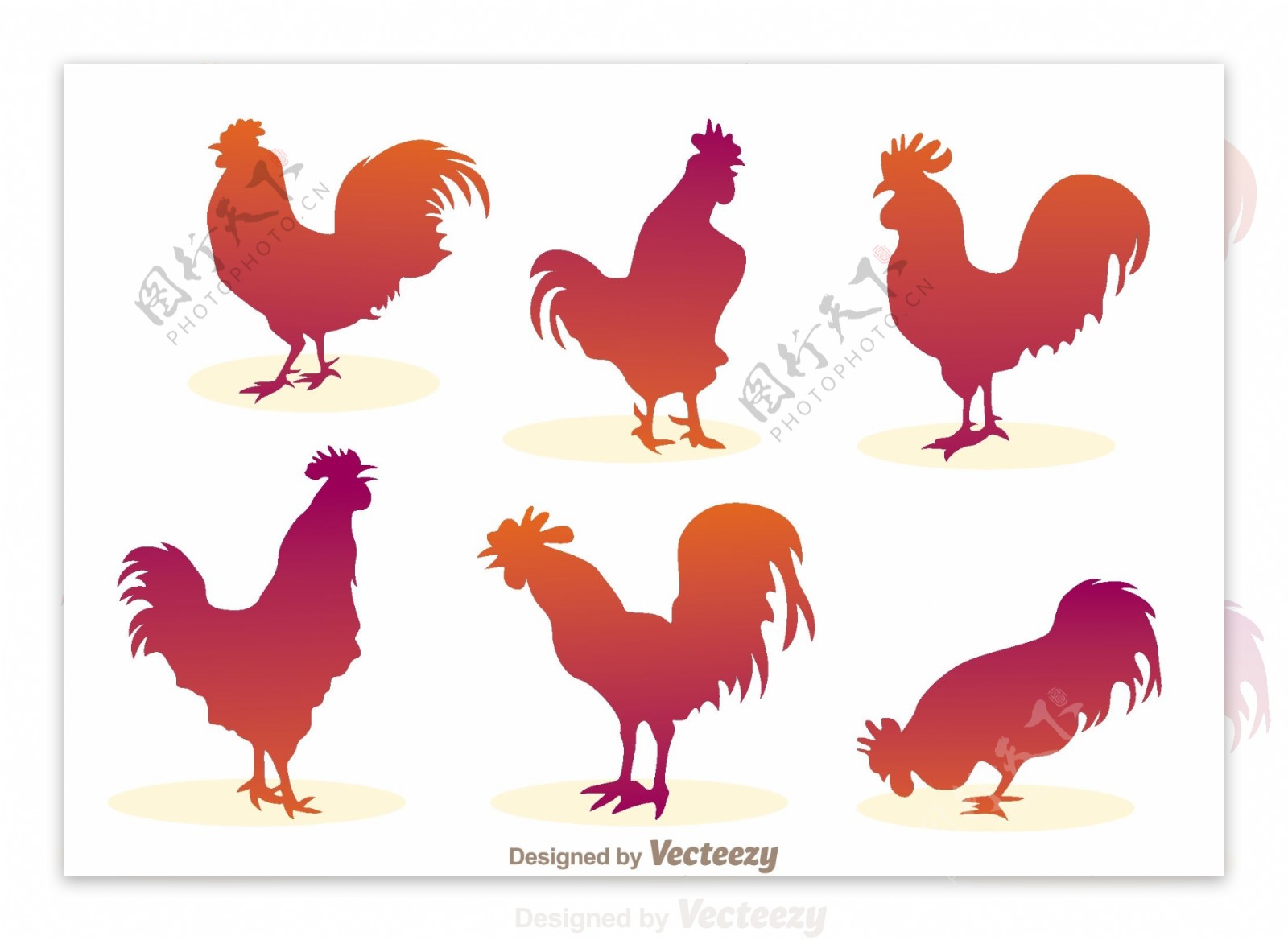 公鸡设计图