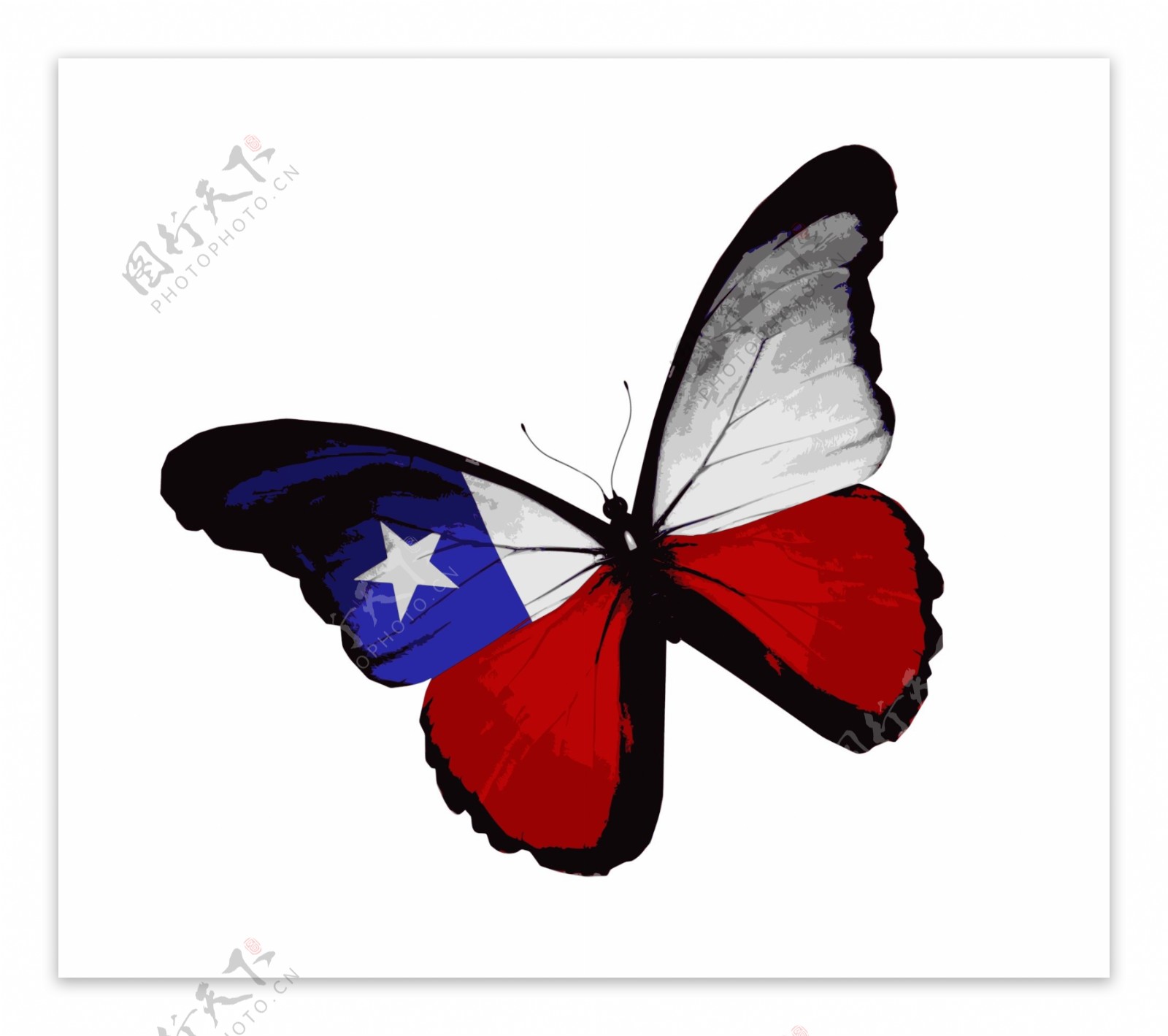美国国旗图案蝴蝶